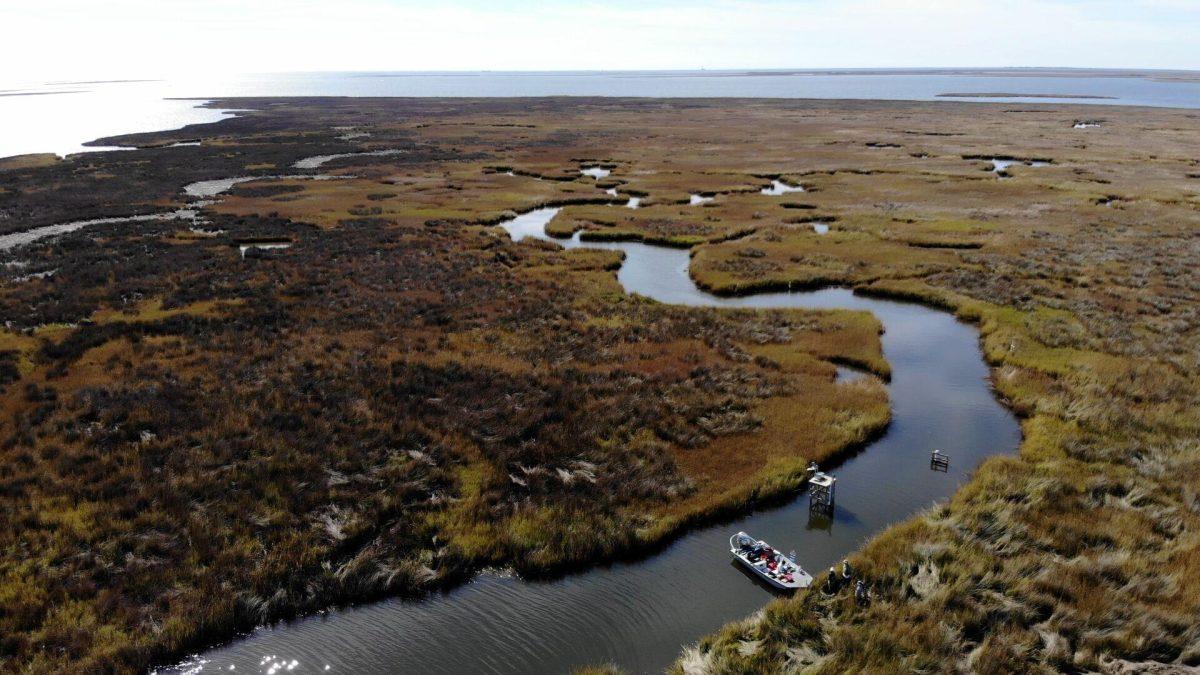 Drone picture of Louisiana wetlands.