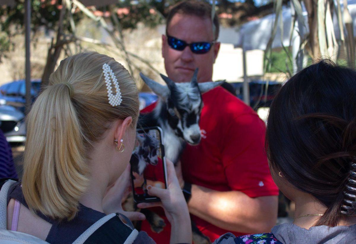 An LSU student takes a photo of a goat on Wednesday, Oct. 5, 2022, on Tower Drive in Baton Rouge, La.