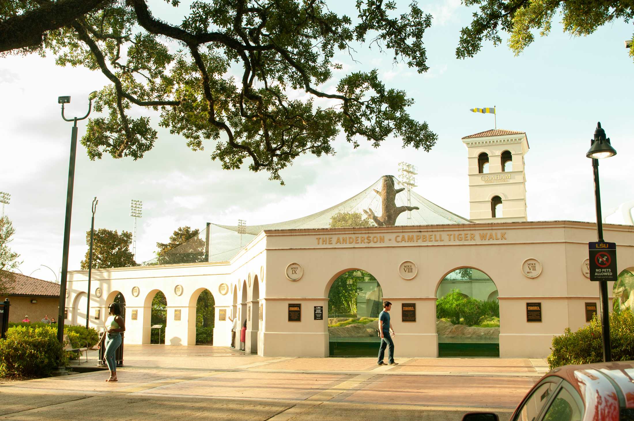 PHOTOS: Golden hour around Baton Rouge