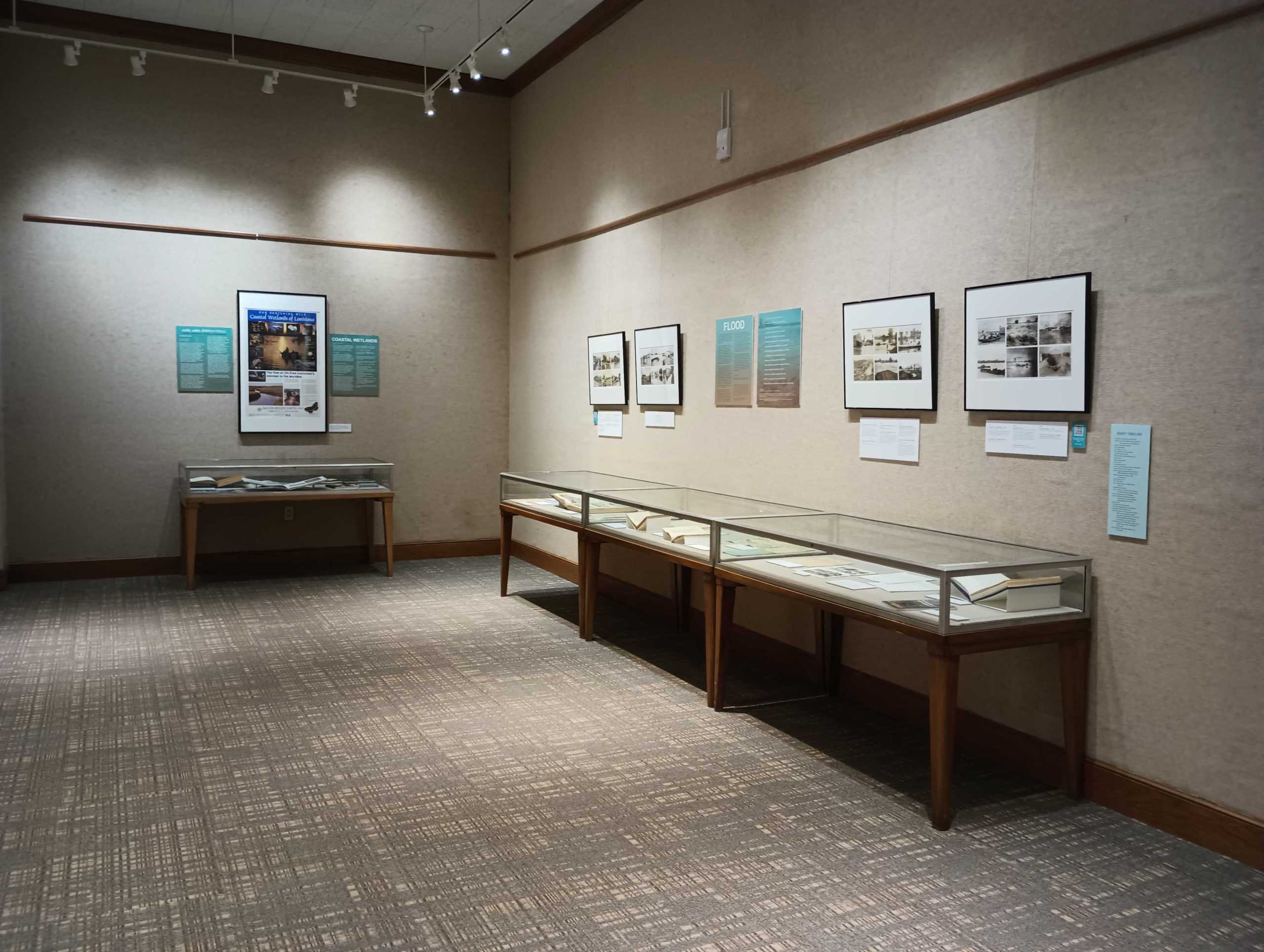 LSU Libraries exhibit portrays Louisiana's relationship with water, its coastal wetlands