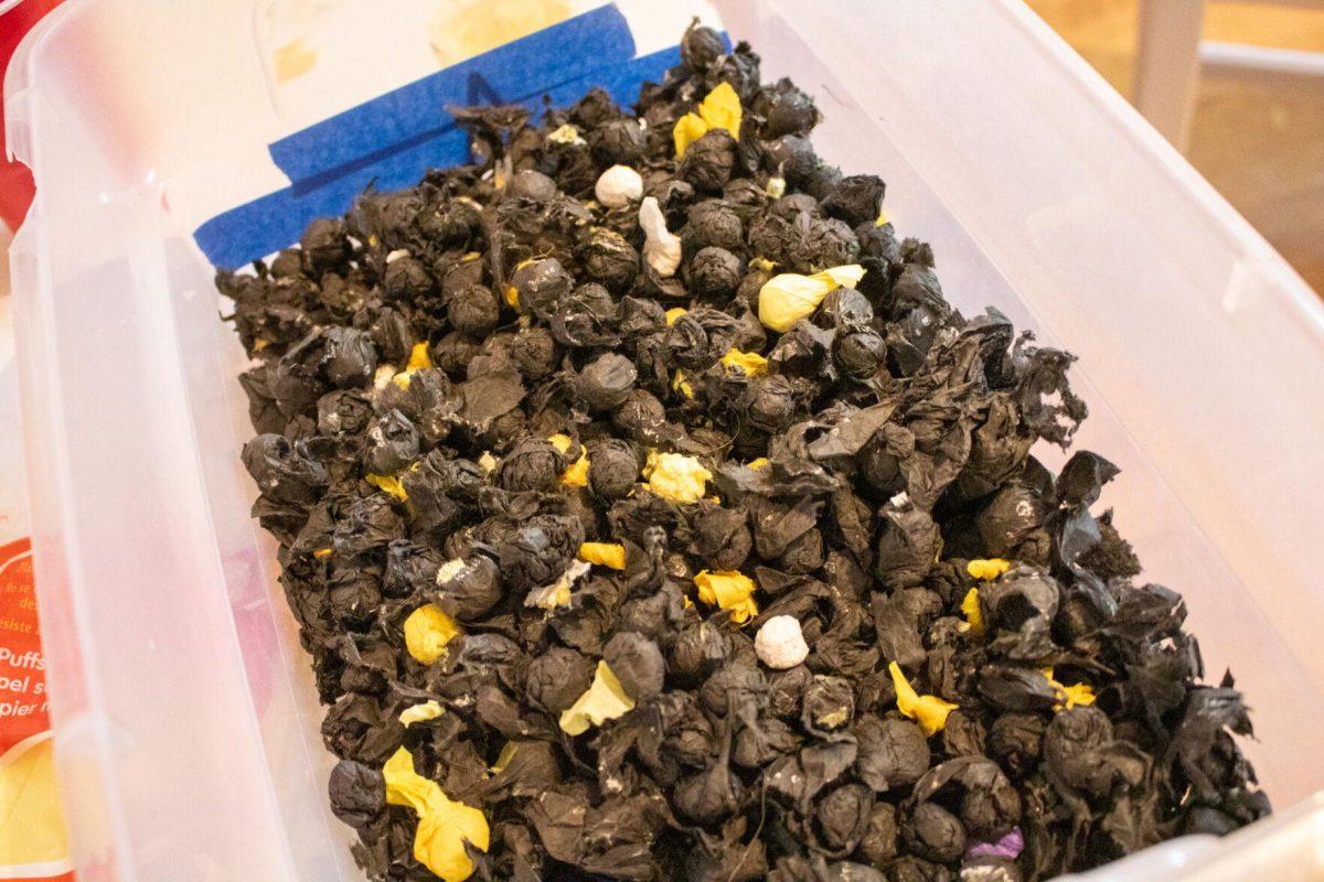 Finished pomps sit in a bucket until they are used on Wednesday, Oct. 19, 2022, in the Zeta Sorority house on West Lakeshore Drive in Baton Rouge, La.