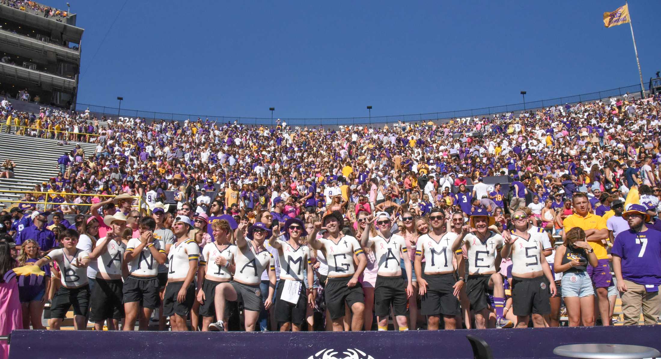 PHOTOS: LSU football falls to Tennessee 13-40