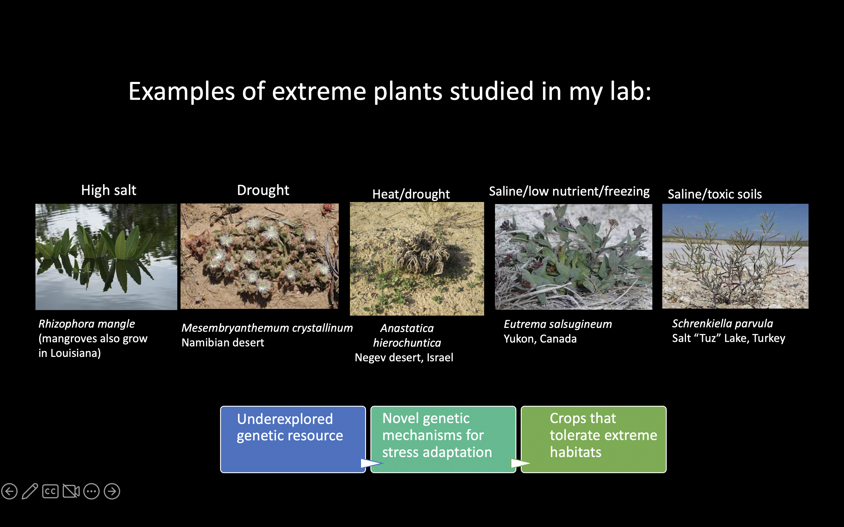 'Contributing to human exploration beyond our planet': LSU biologists, NASA work to develop crops suited to Martian soil