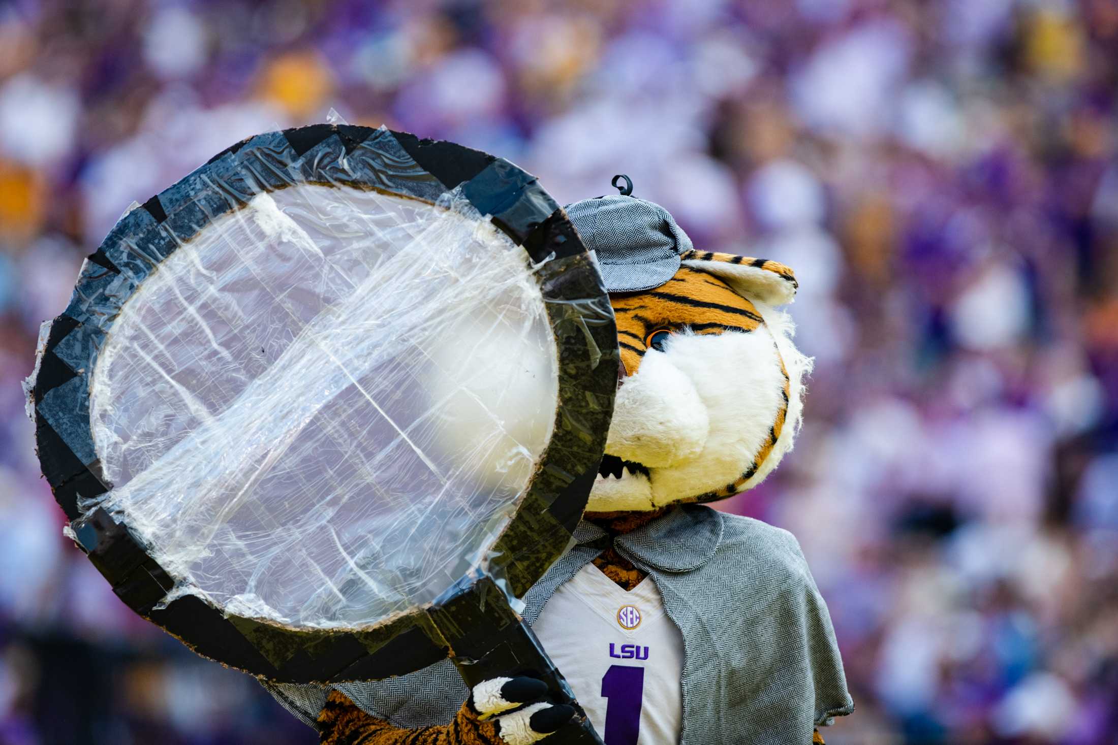 PHOTOS: Football defeats Ole Miss 45-20 in Homecoming game