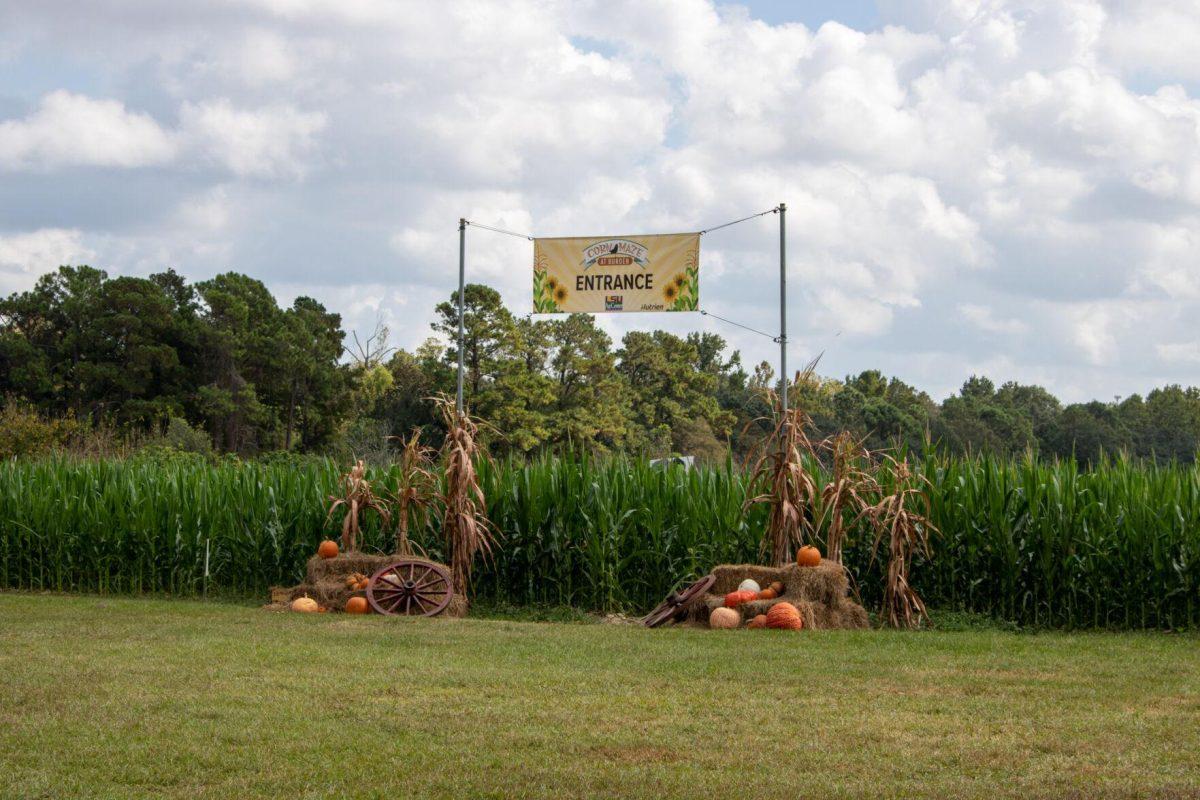 The entrance of the corn maze at the Botanic Gardens sits decorated with pumpkins on Wednesday, Oct. 12, 2022, on Essen Ln. in Baton Rouge, La.