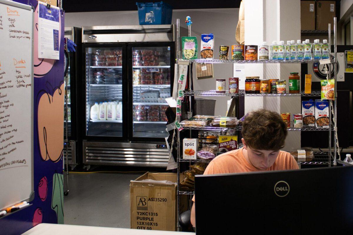 LSU petroleum engineering sophomore Cayden Boyt works at the computer on Thursday, Oct. 6, 2022, inside the food pantry at the LSU Student Union in Baton Rouge, La.