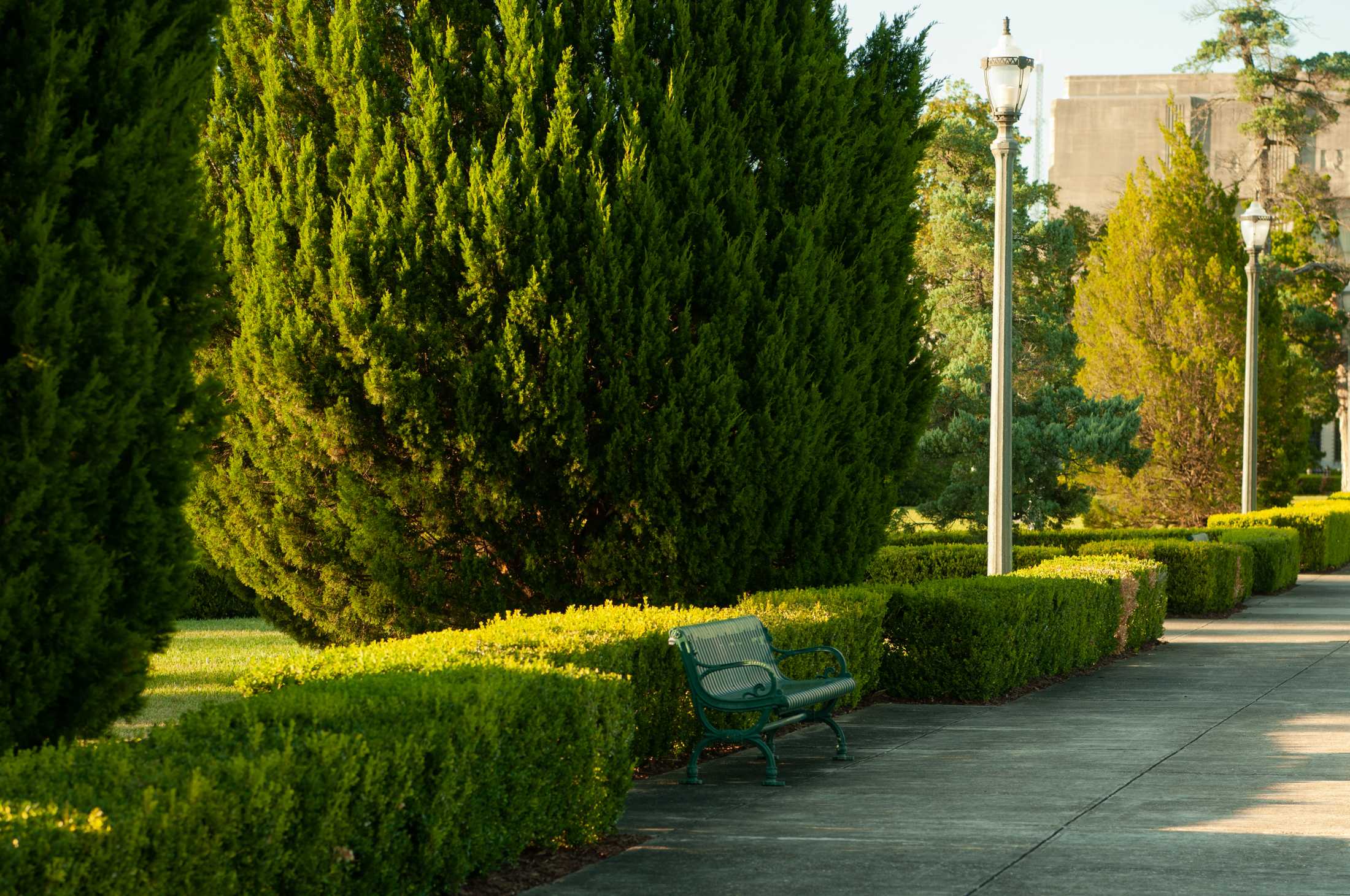 PHOTOS: Golden hour around Baton Rouge