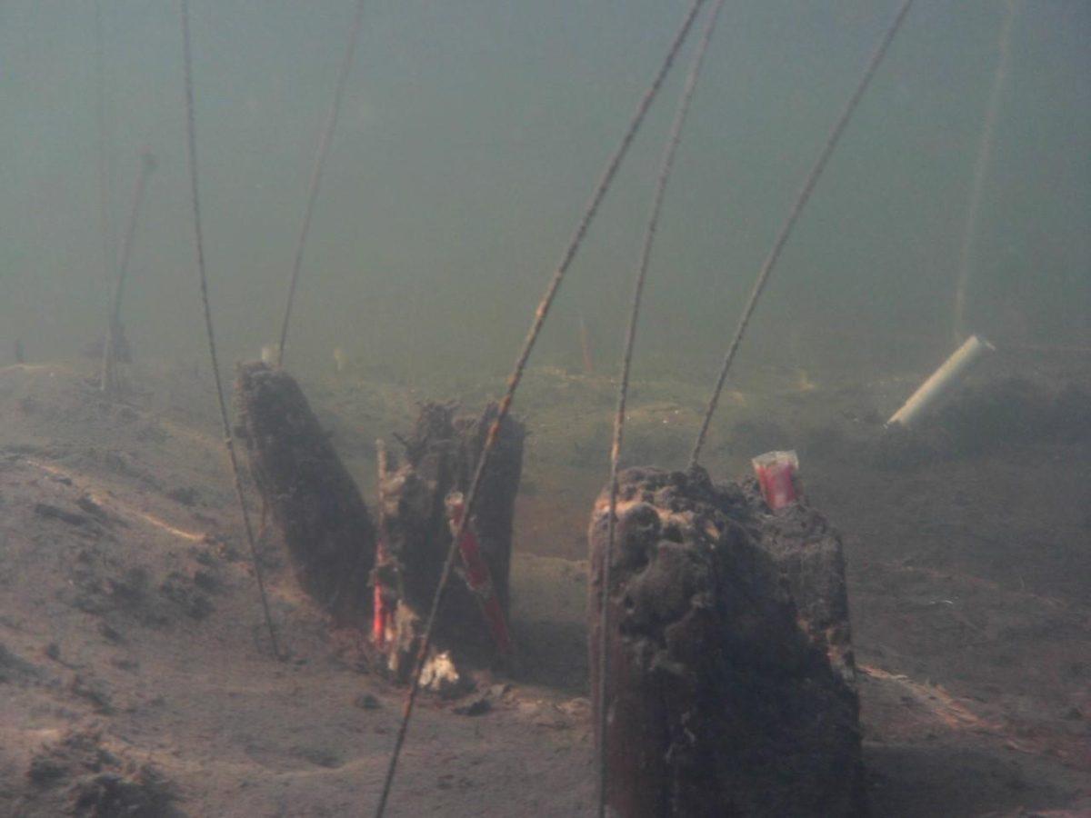 Pillar remnants from ancient salt work building in Ta&#8217;ab Nuk Na in Belize&#160;&#160;