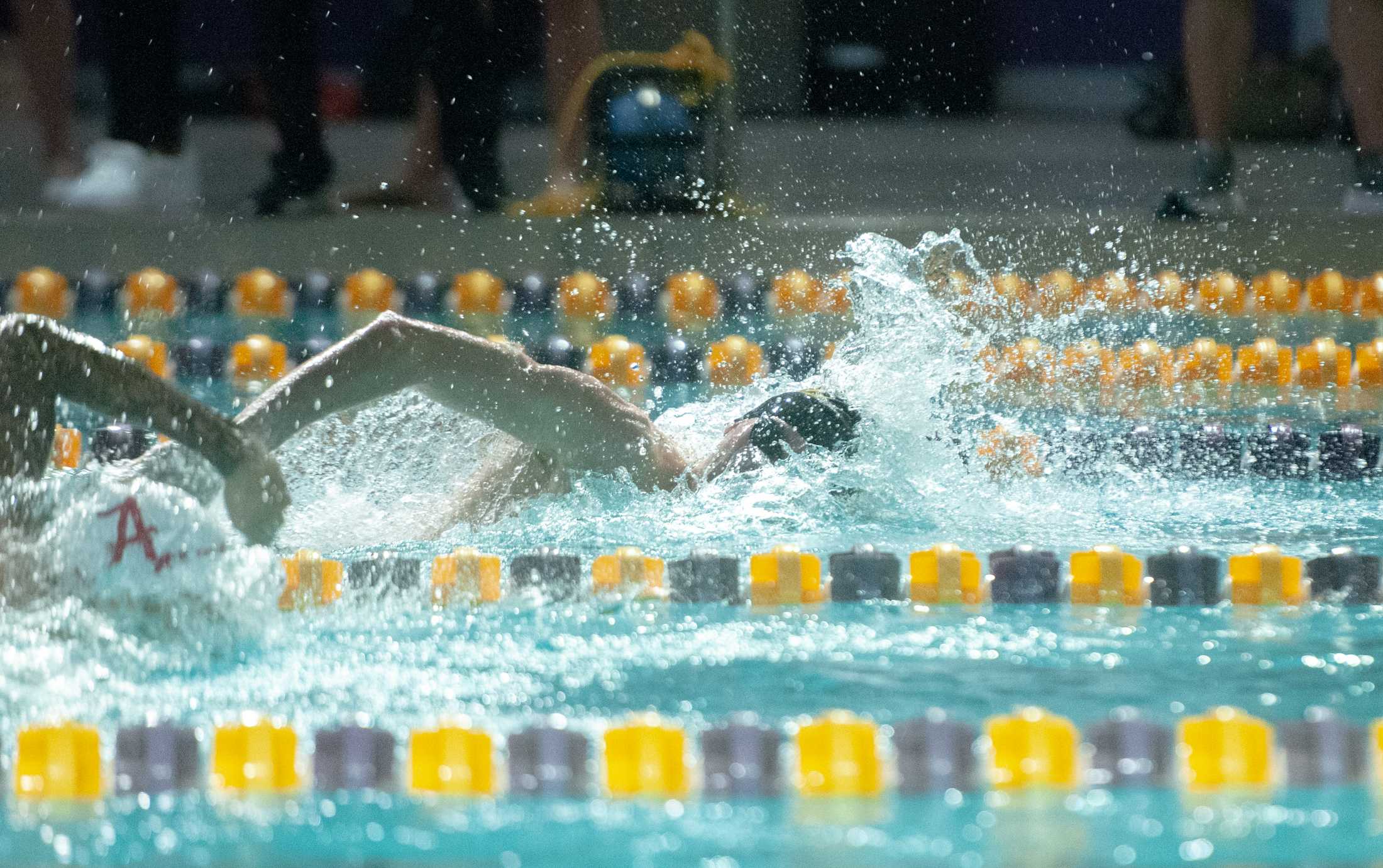 PHOTOS: LSU swim and dive vs. Alabama