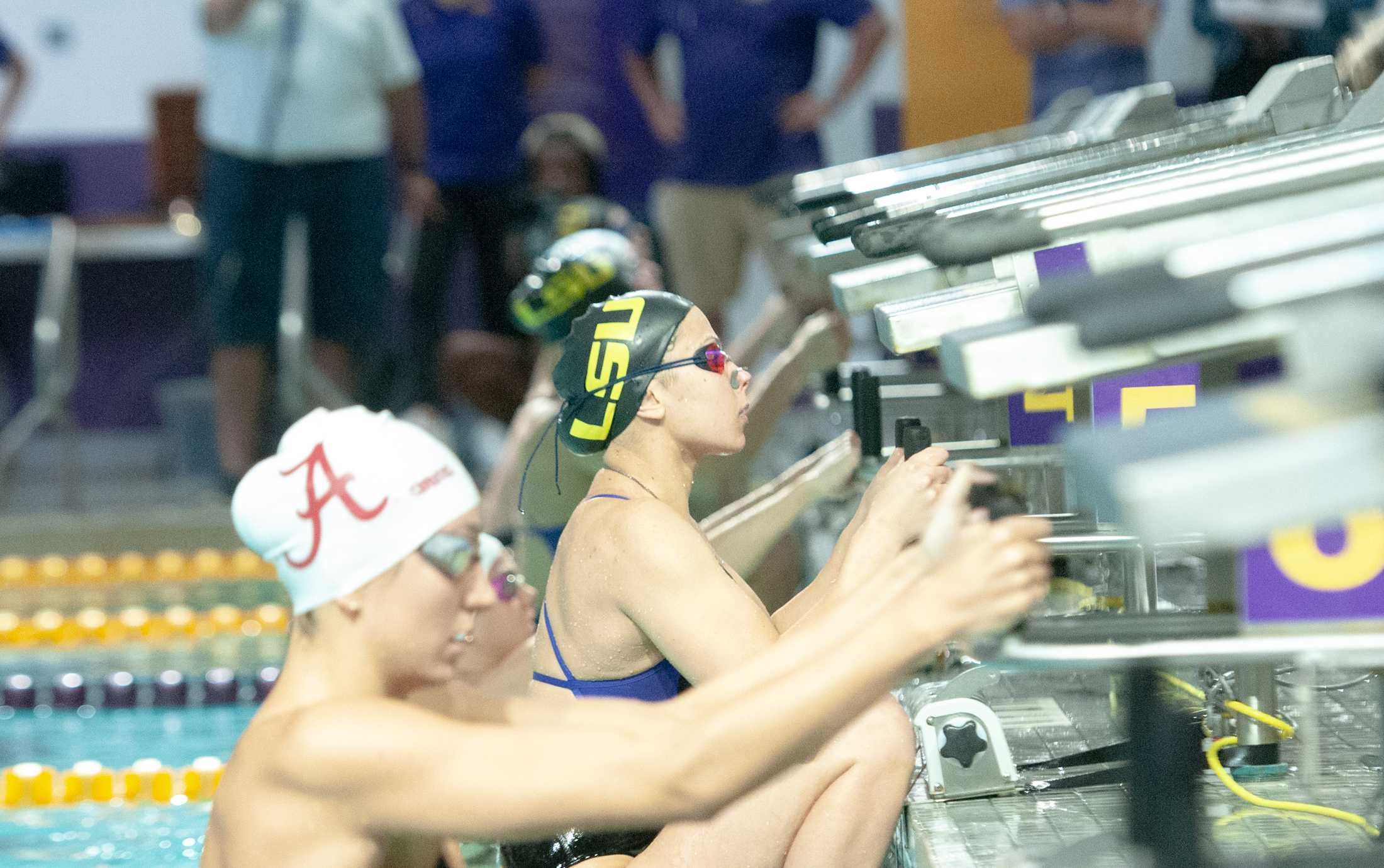 PHOTOS: LSU swim and dive vs. Alabama