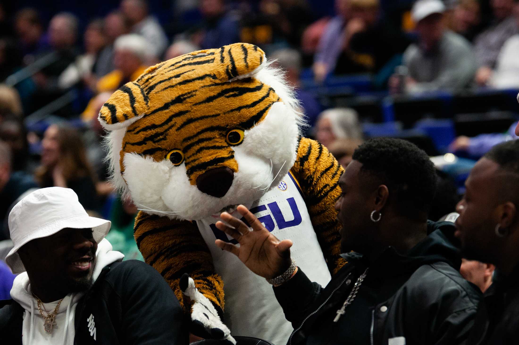 PHOTOS: LSU men's basketball defeats New Orleans 91-62