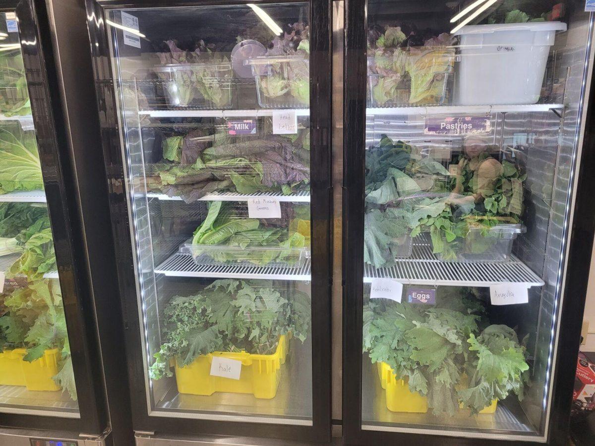 Vegetables from Hill Farm displayed at the LSU Food Bank.