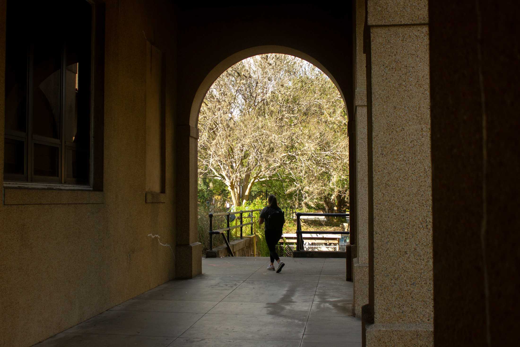 PHOTOS: You've been framed... in an archway