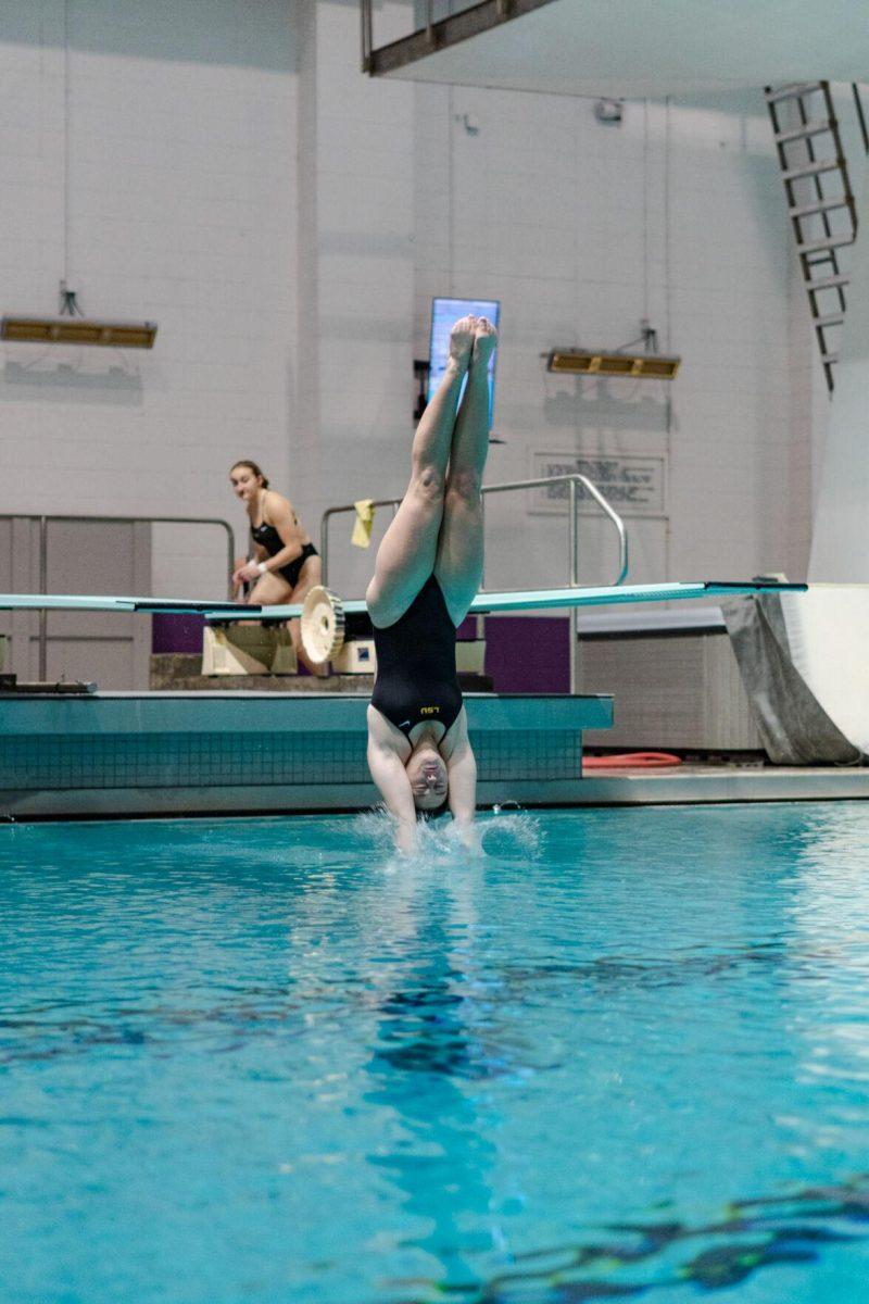 LSU diving sophomore Chiara Pellacani pierces the water on Friday, Nov. 4, 2022, during LSU&#8217;s win over Alabama at the LSU natatorium in Baton Rouge, La.