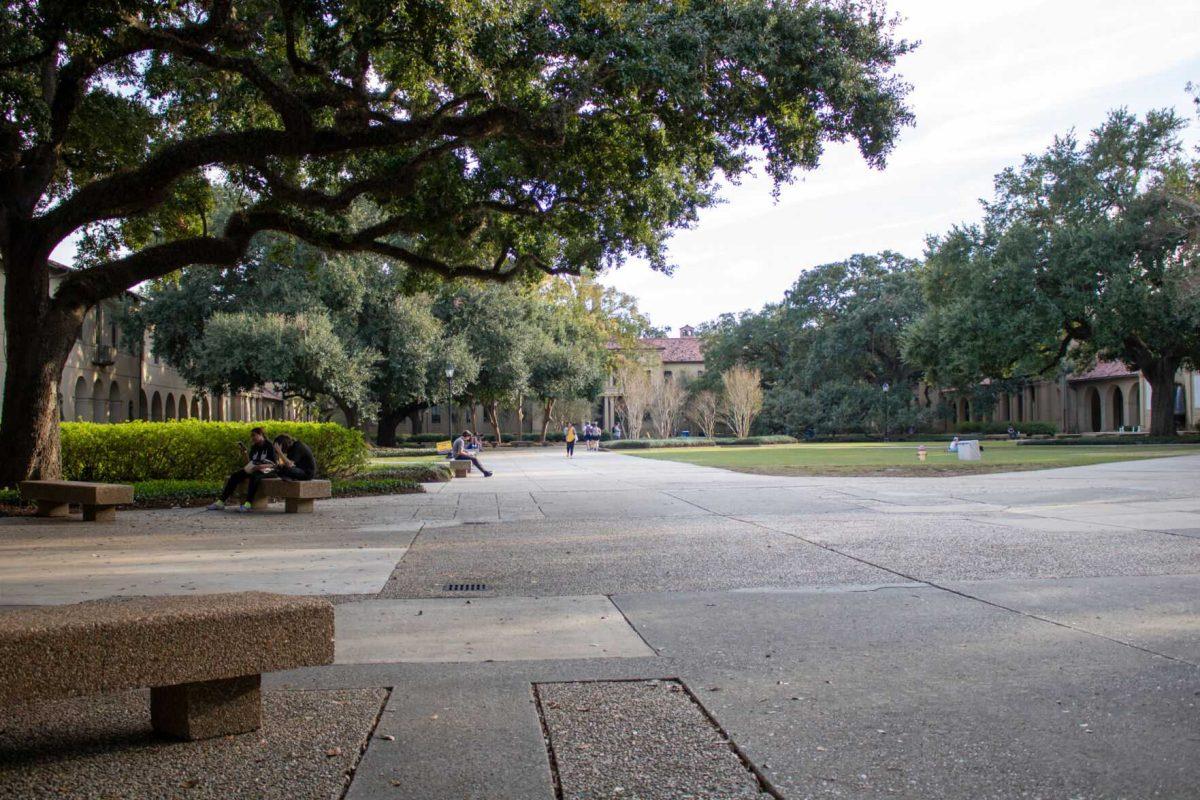 The sun shines down on the Quad on Wednesday, Nov. 9, 2022, in the Quad on LSU Campus.