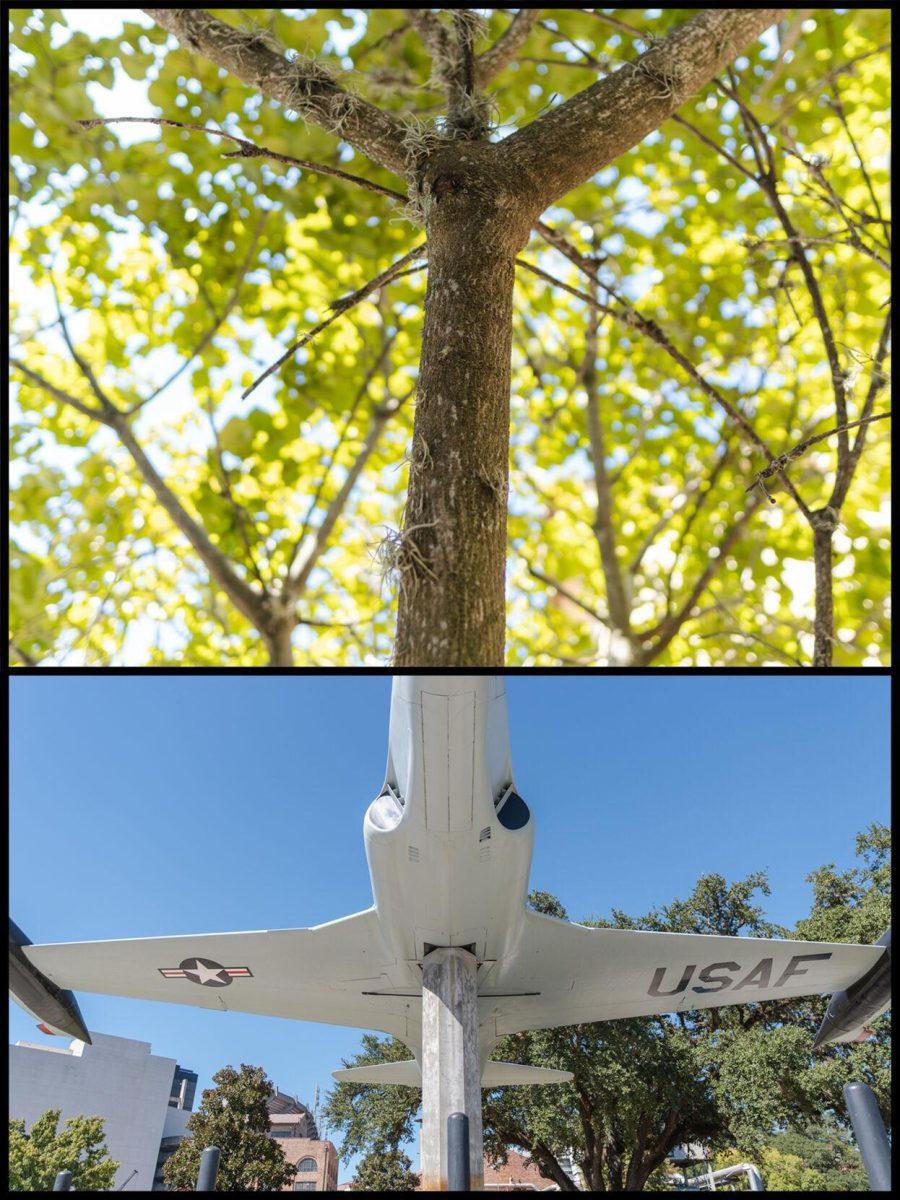 A tree branch in the Art and Design courtyard extends from the nose of an airplane on South Stadium Drive in Baton Rouge, La.