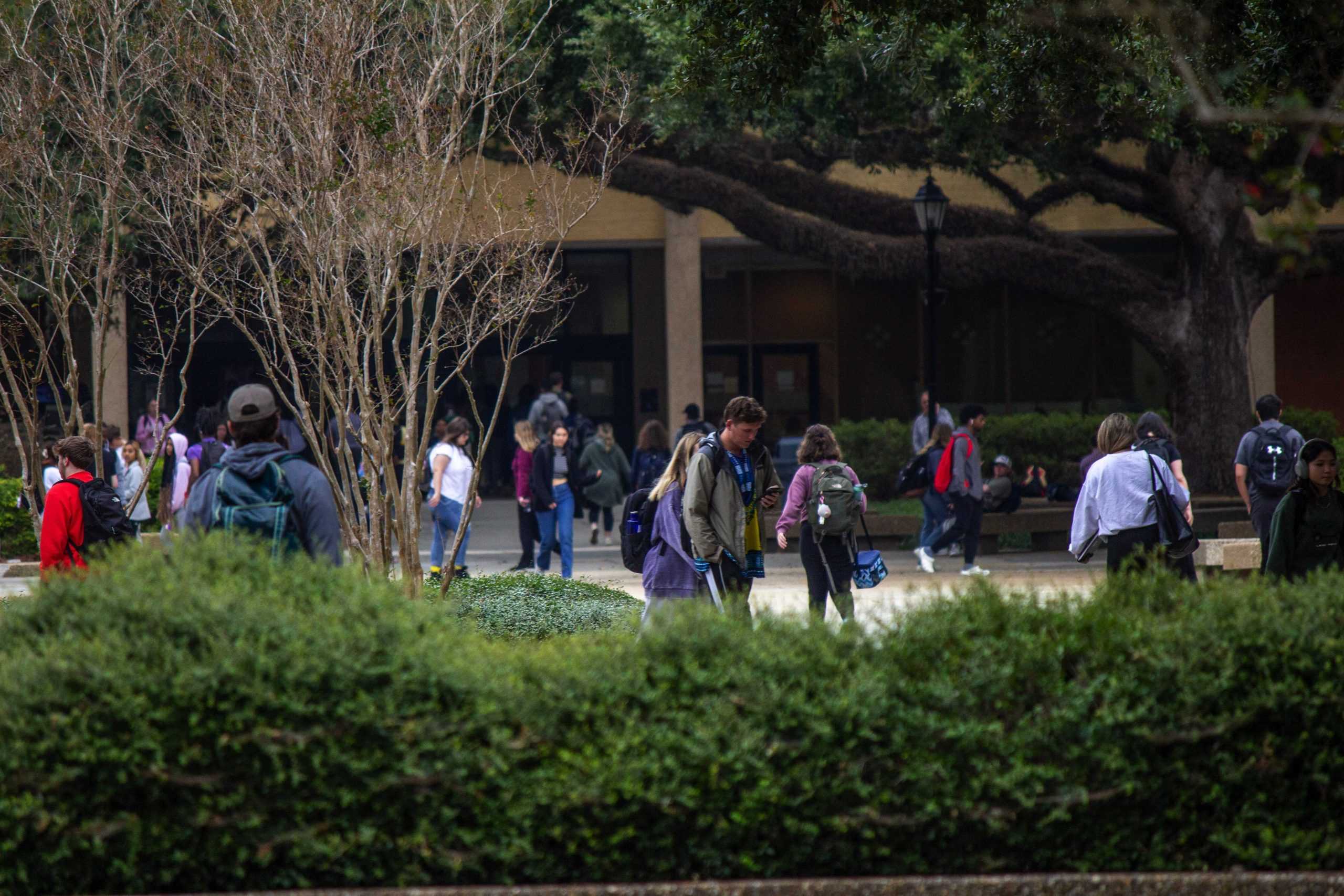 'I really want to combat loneliness': CEO, LSU students discuss new app LINK Social and making friends online