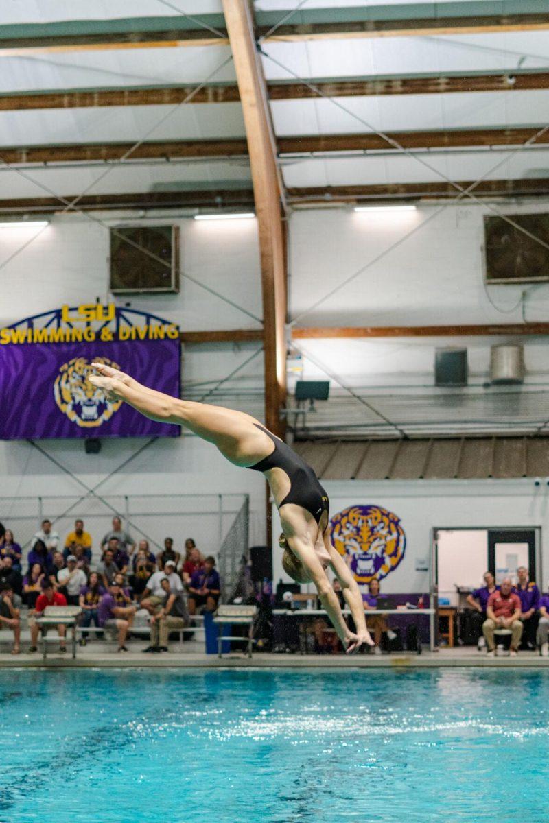 An LSU diver straightens her legs as she approaches the water on Friday, Nov. 4, 2022, during LSU&#8217;s win over Alabama at the LSU natatorium in Baton Rouge, La.