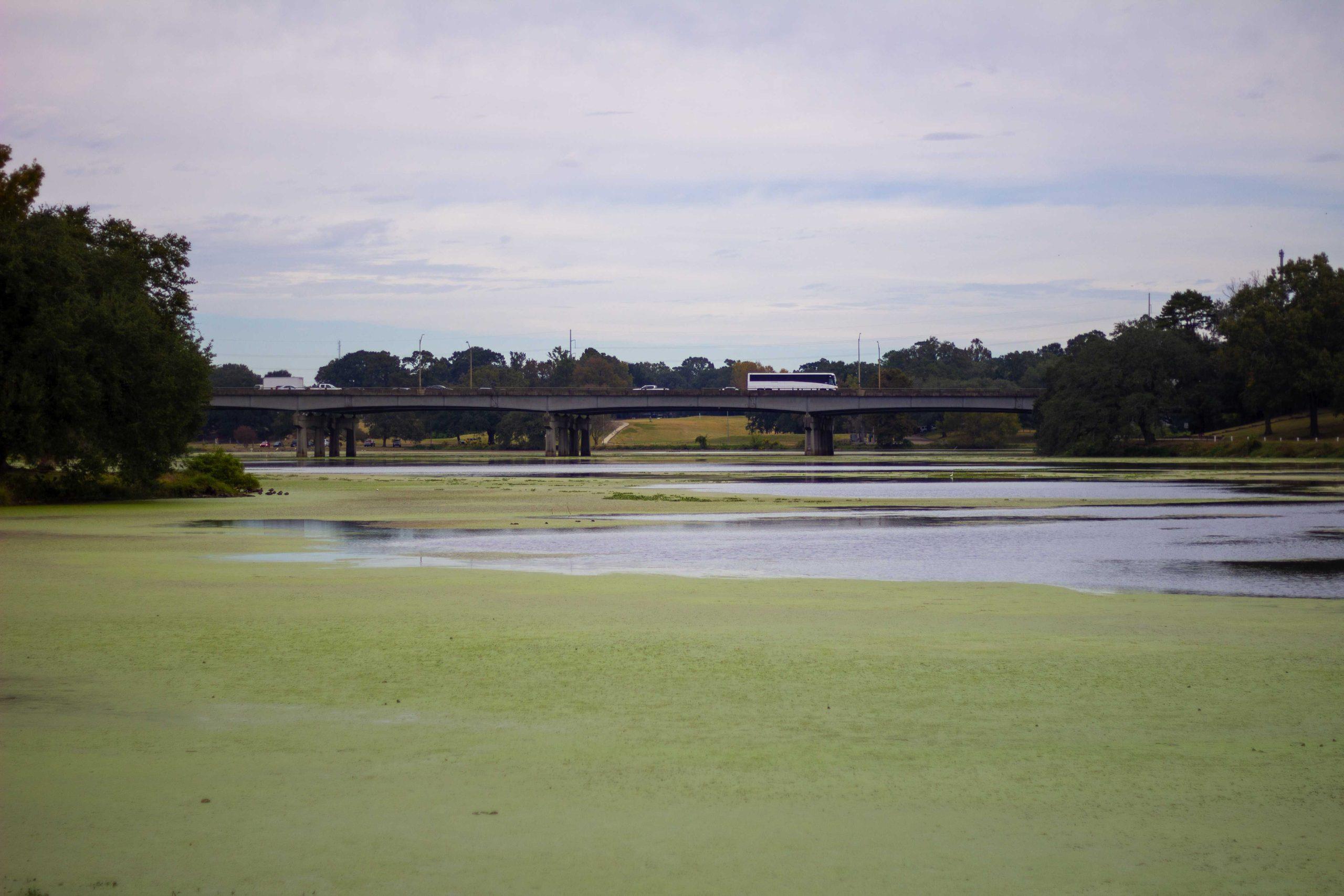 Lack of rain and low Mississippi River water levels could negatively impact Louisiana seafood industry