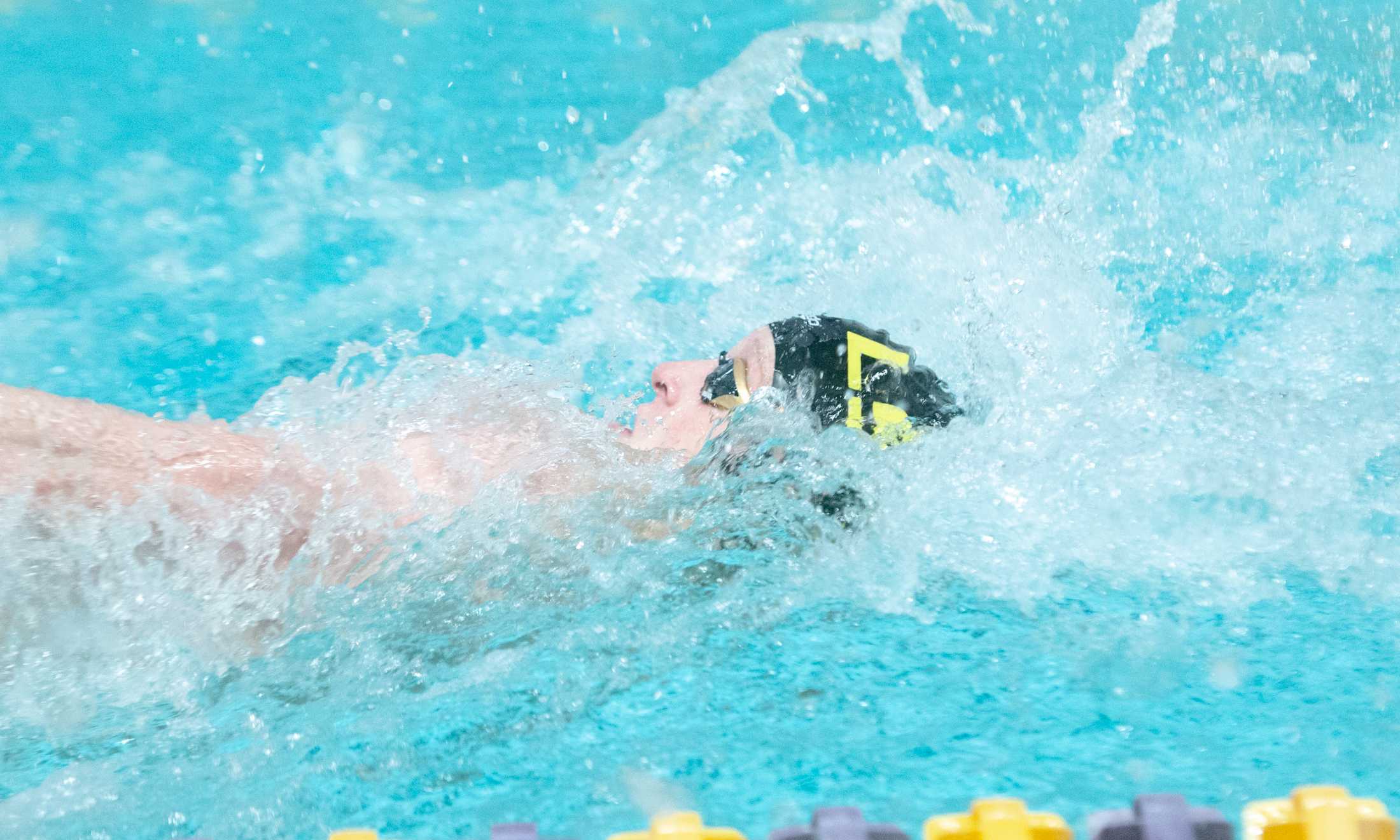 PHOTOS: LSU swim and dive vs. Alabama