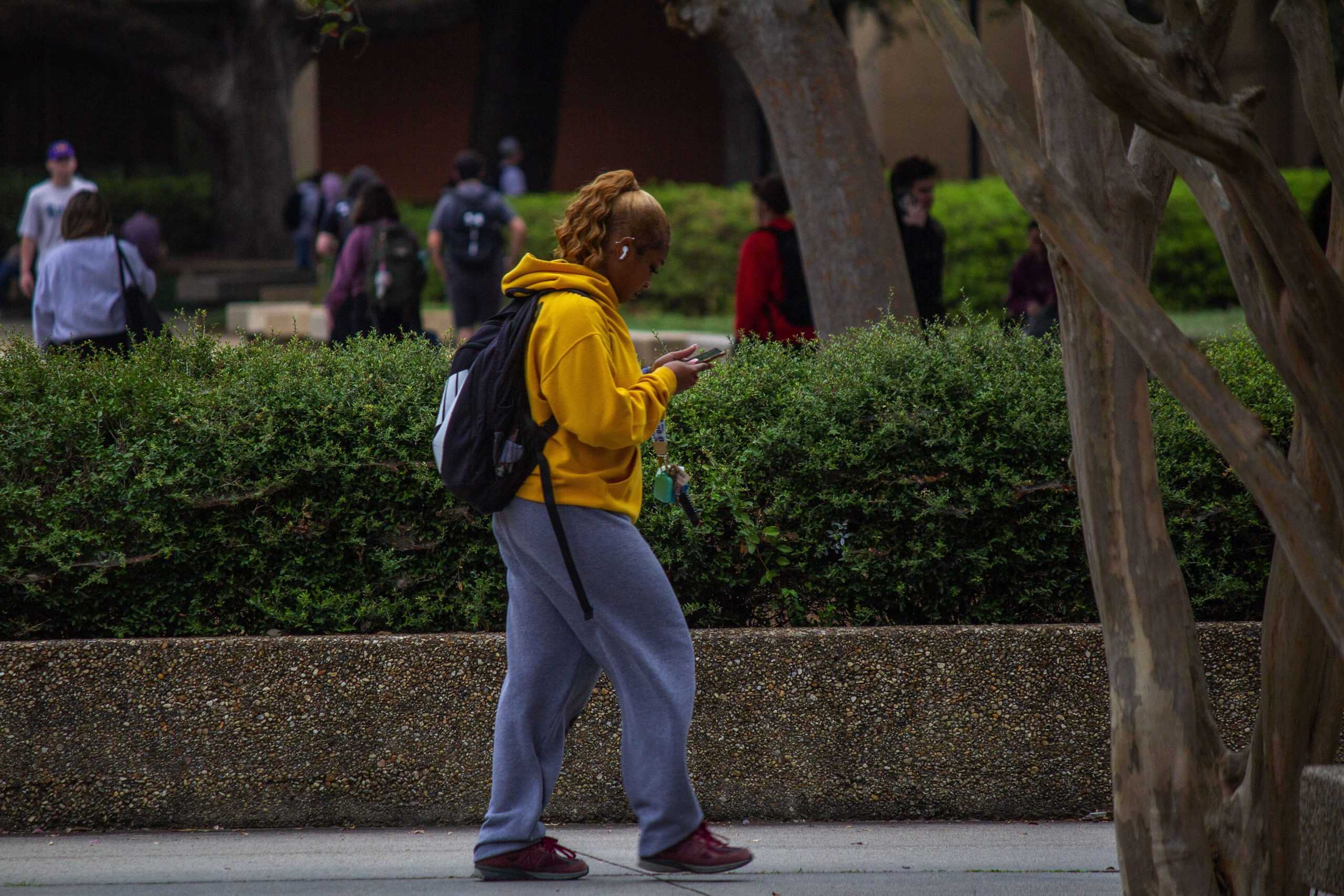 'I really want to combat loneliness': CEO, LSU students discuss new app LINK Social and making friends online