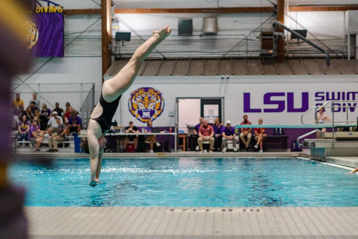 An LSU diver approaches the water on Friday, Nov. 4, 2022, during LSU&#8217;s win over Alabama at the LSU natatorium in Baton Rouge, La.