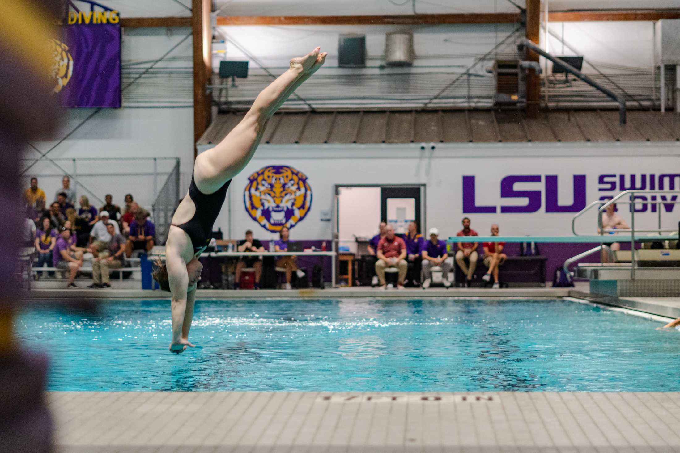 PHOTOS: LSU swim and dive vs. Alabama