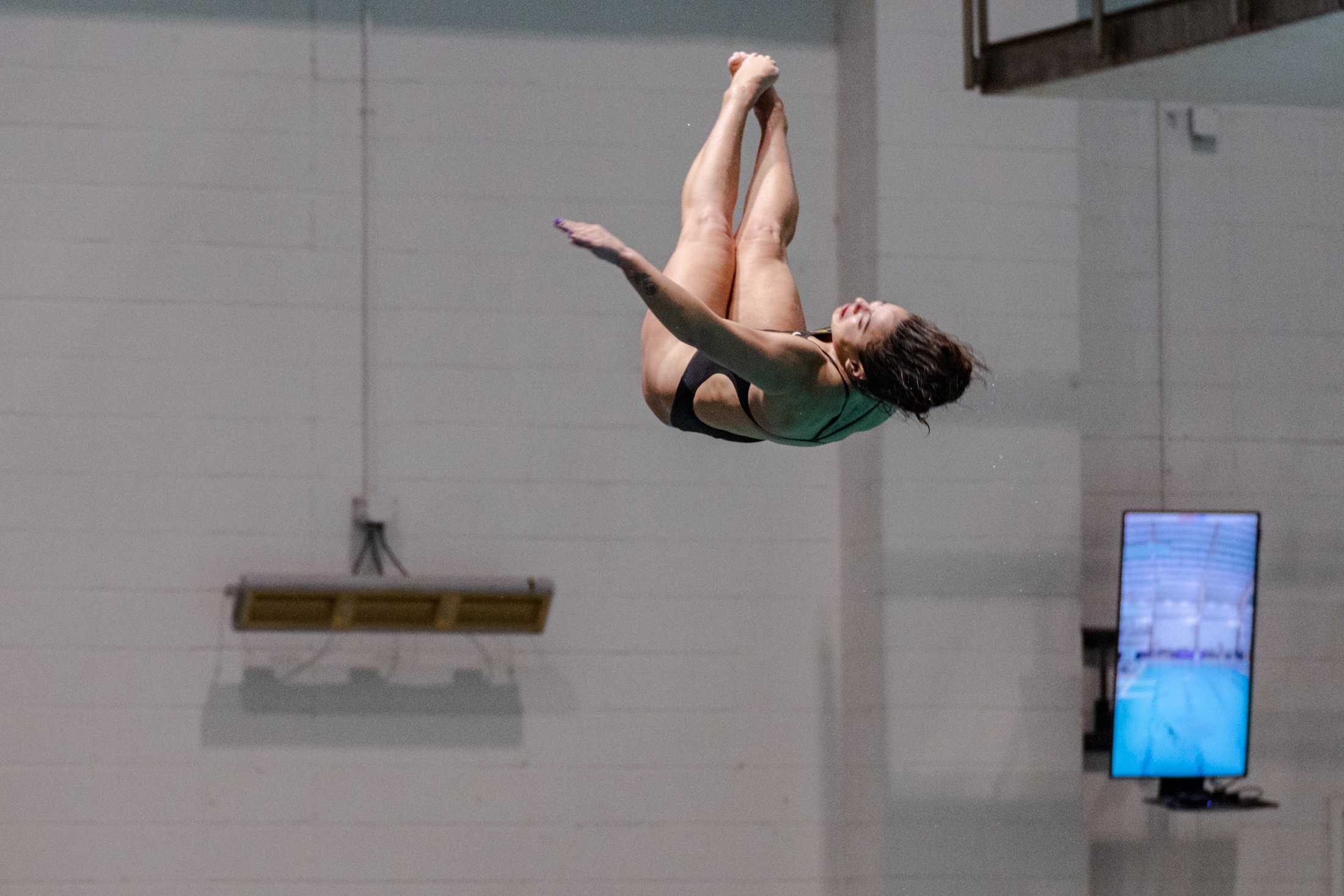 PHOTOS: LSU swim and dive vs. Alabama