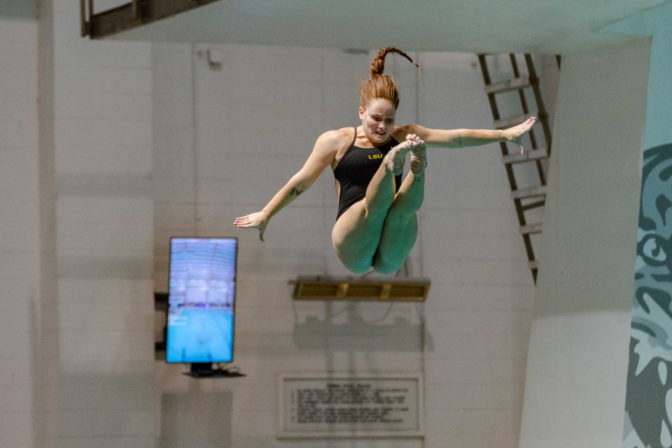 PHOTOS: LSU swim and dive vs. Alabama