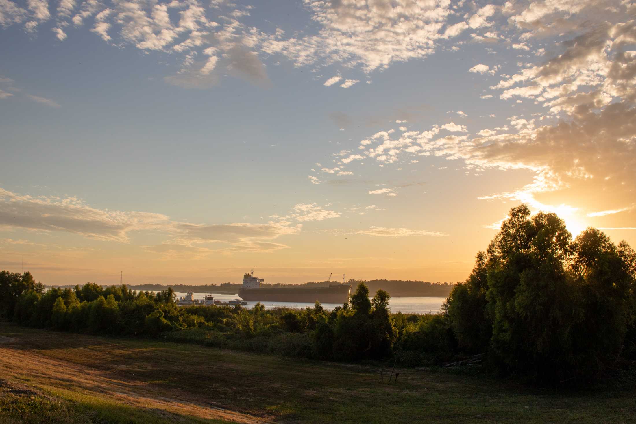 Lack of rain and low Mississippi River water levels could negatively impact Louisiana seafood industry