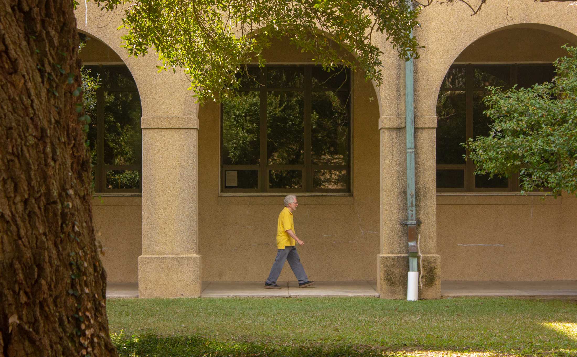 PHOTOS: You've been framed... in an archway