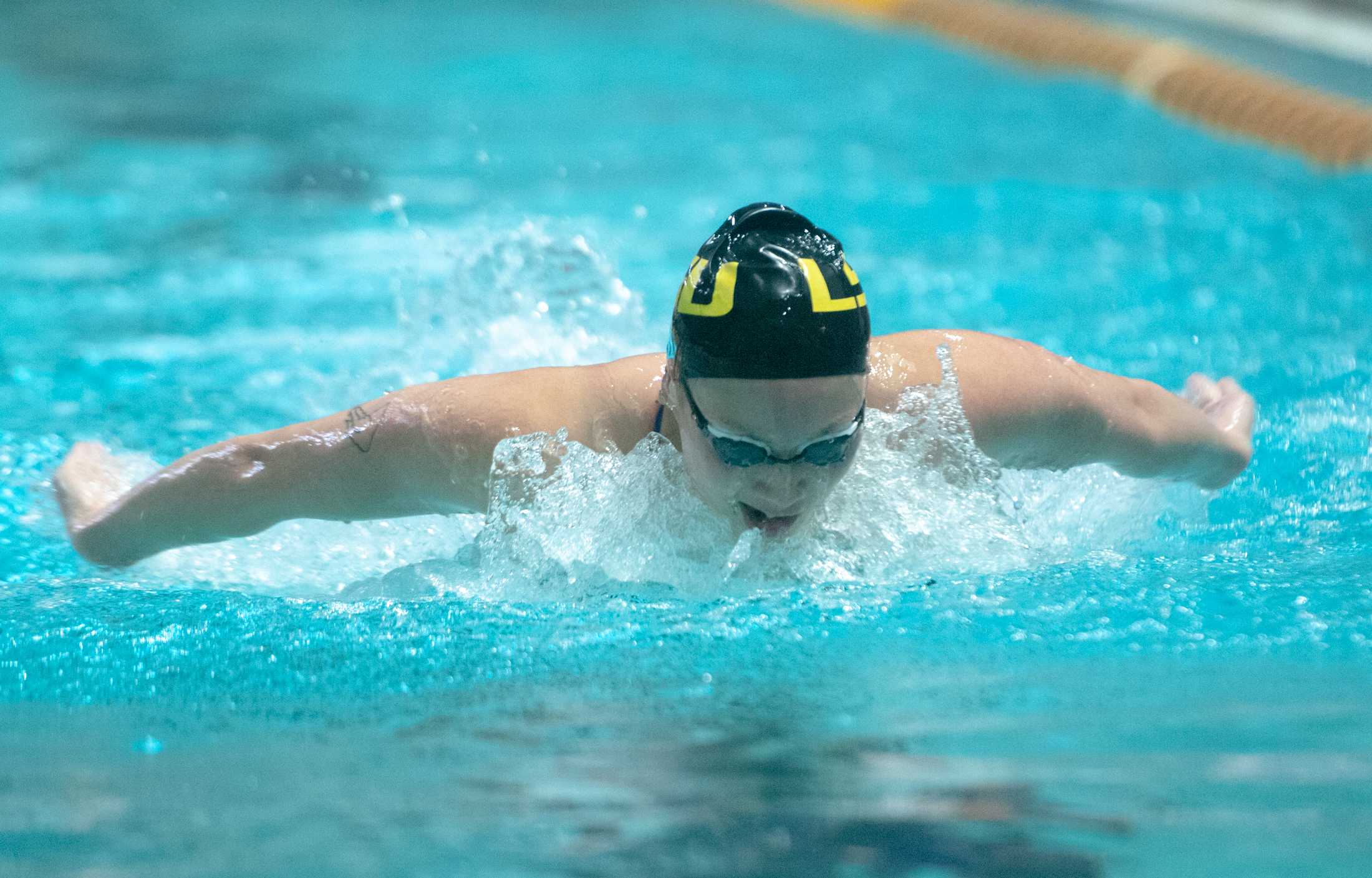 PHOTOS: LSU swim and dive vs. Alabama