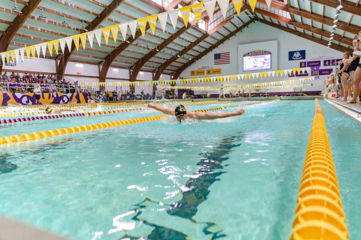 LSU swimming butterfly/freestyle freshman Pawel Uryniuk comes up for air on Friday, Nov. 4, 2022, during the LSU men&#8217;s 139-155 loss to Alabama at the LSU natatorium in Baton Rouge, La.