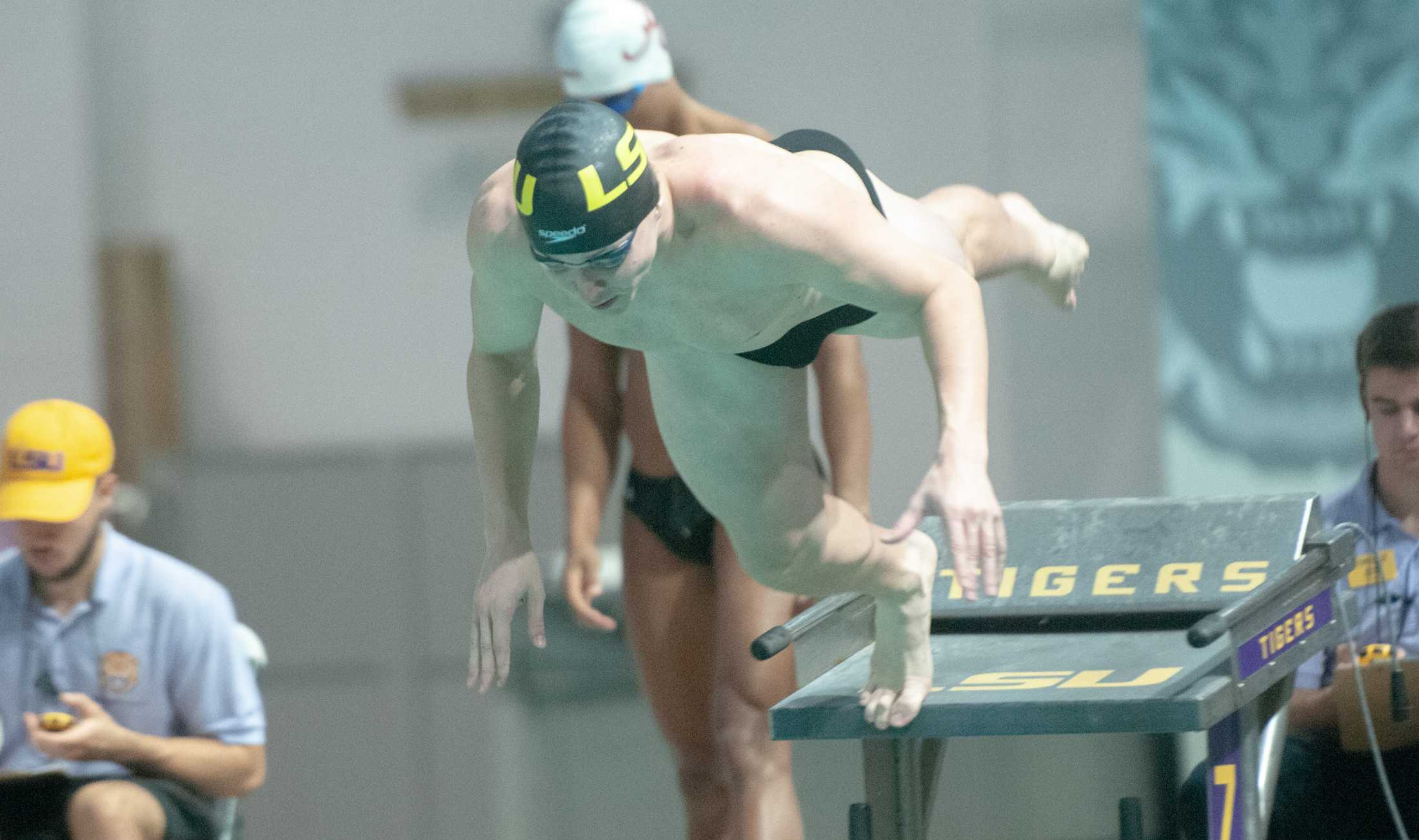 PHOTOS: LSU swim and dive vs. Alabama