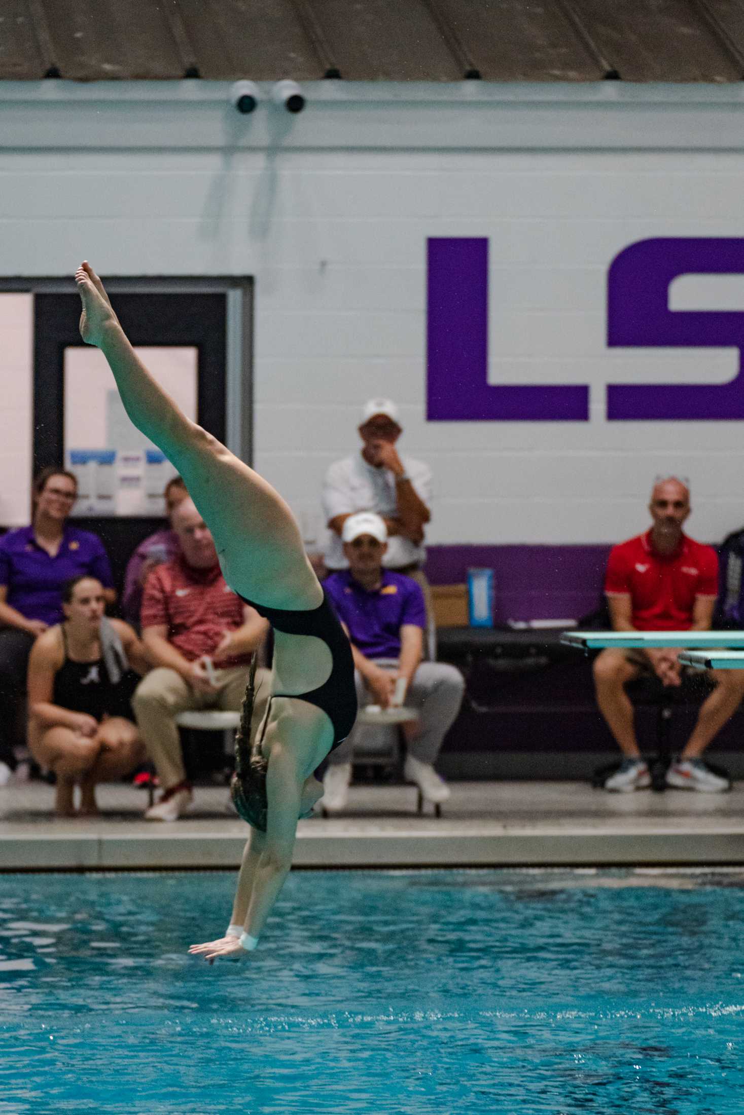 PHOTOS: LSU swim and dive vs. Alabama