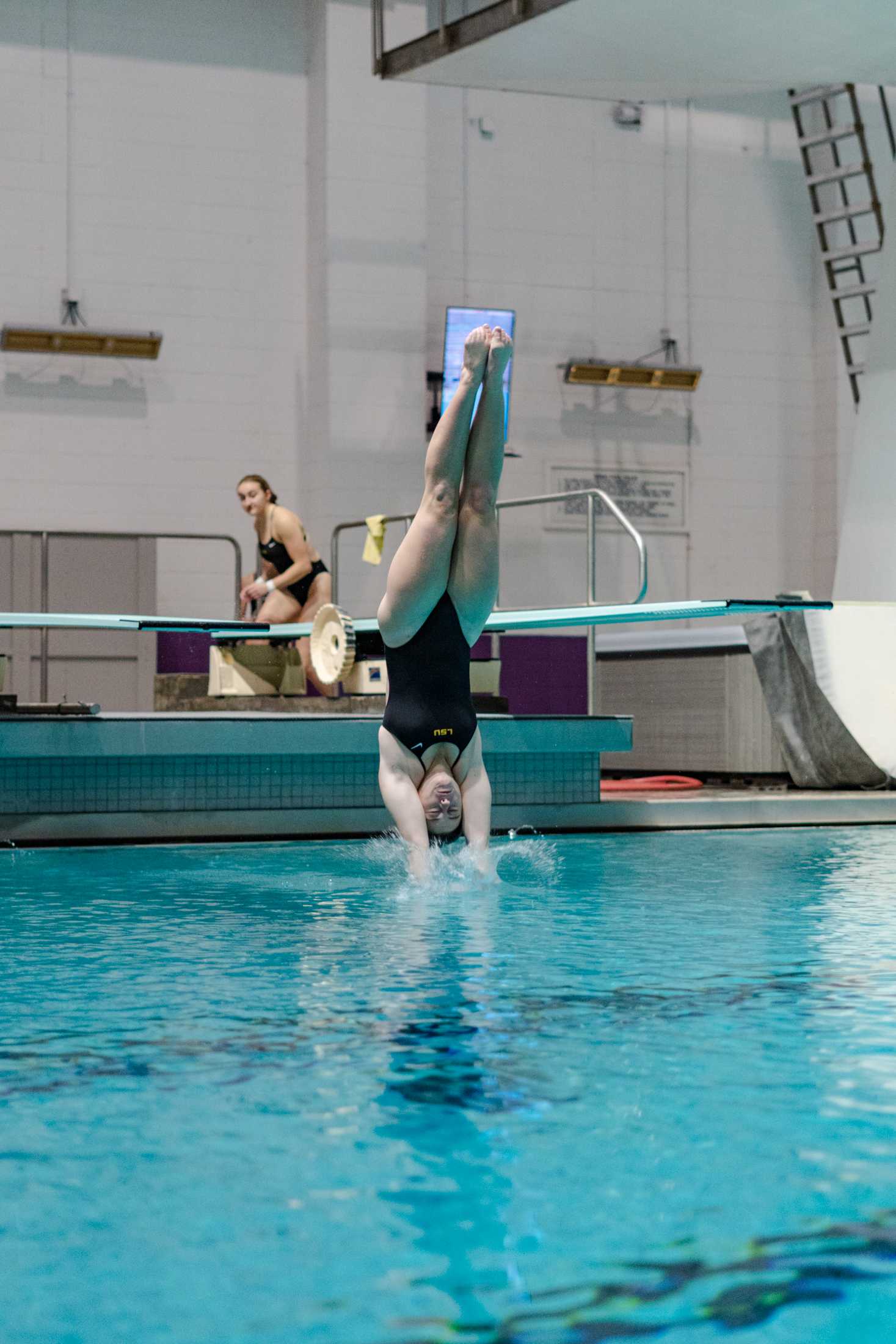 PHOTOS: LSU swim and dive vs. Alabama