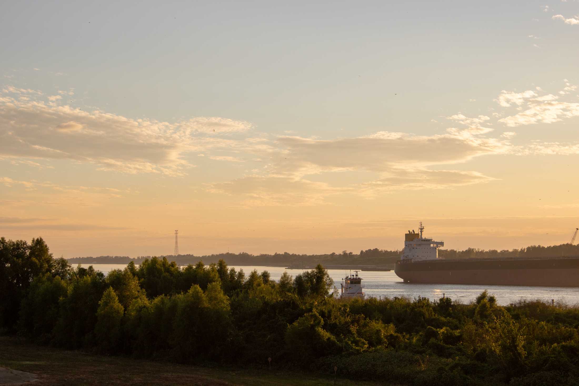 Lack of rain and low Mississippi River water levels could negatively impact Louisiana seafood industry