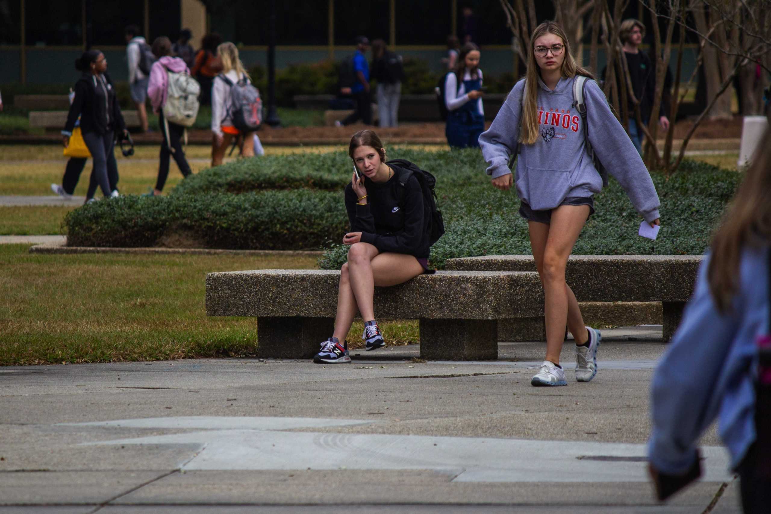 'I really want to combat loneliness': CEO, LSU students discuss new app LINK Social and making friends online