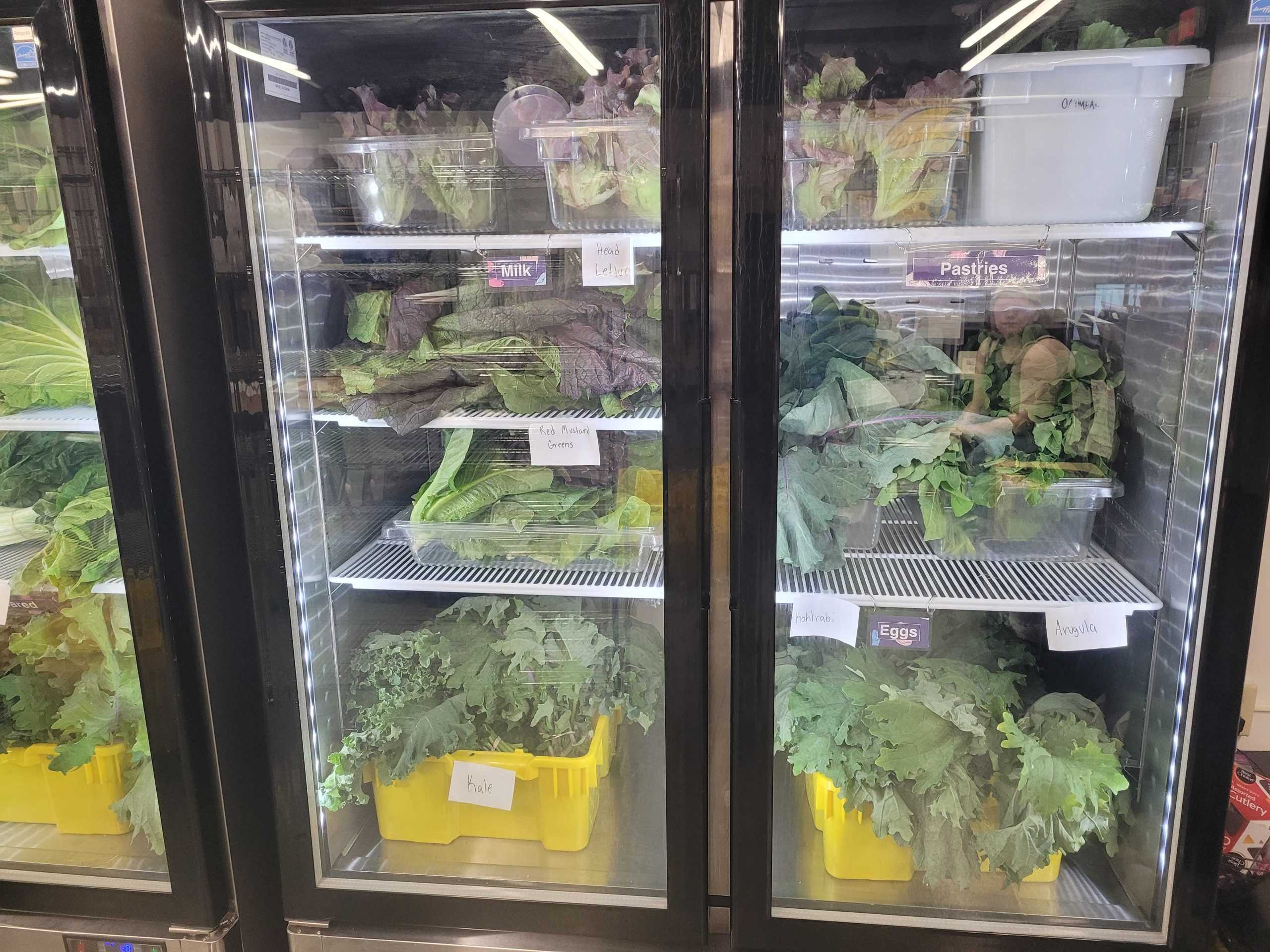 LSU horticulture students grow fresh vegetables in class to donate to the LSU Food Pantry