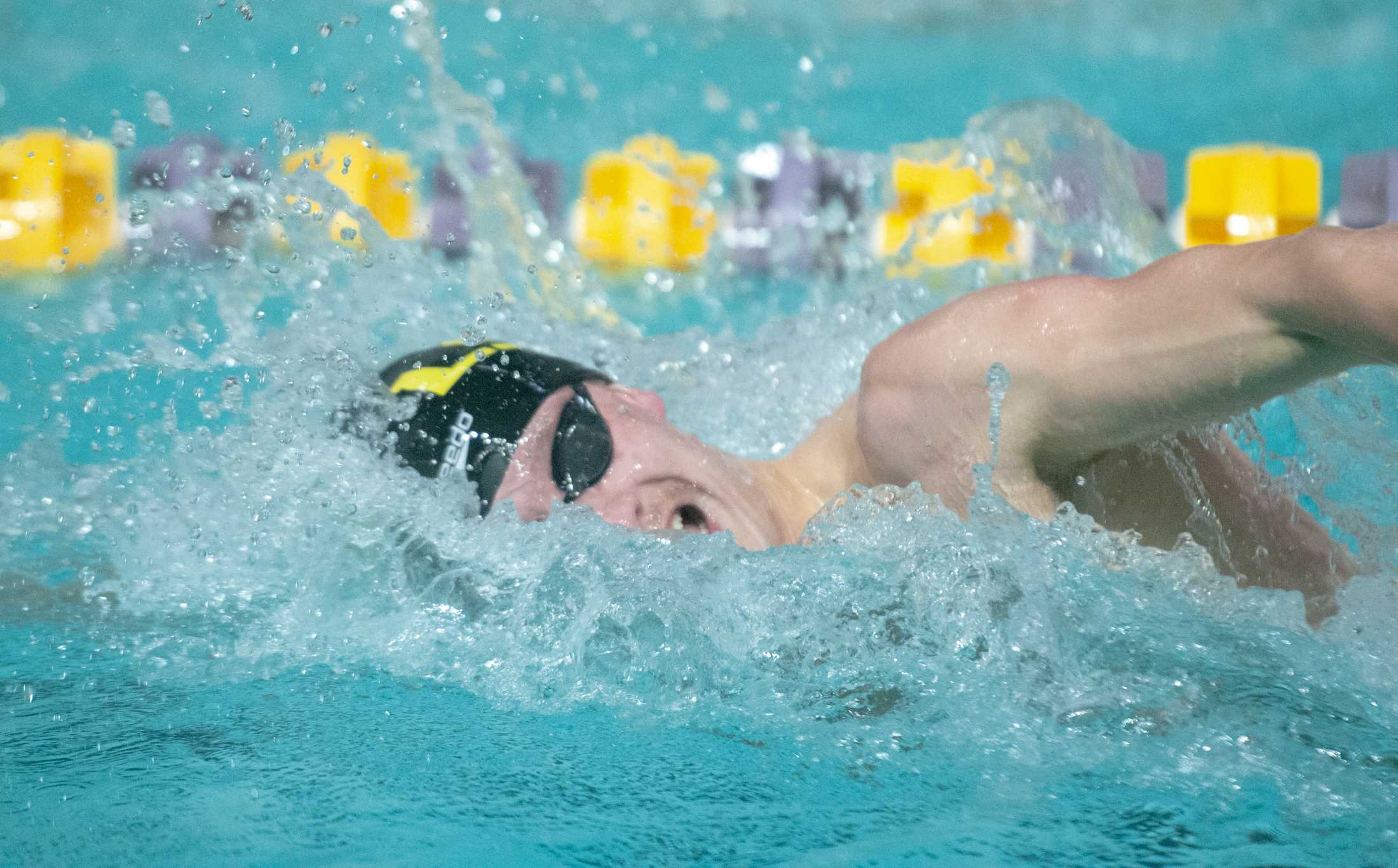 PHOTOS: LSU swim and dive vs. Alabama