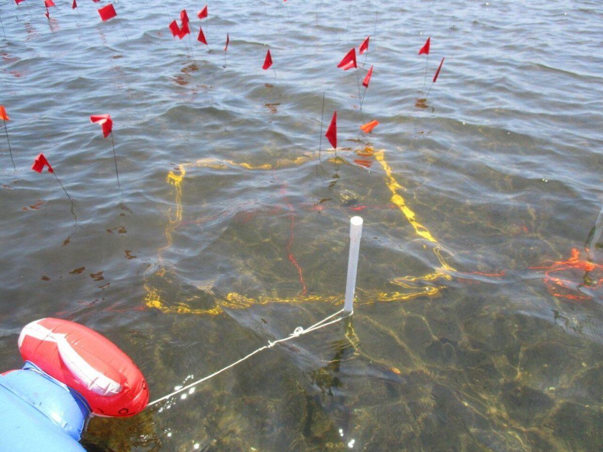 Excavation grid from salt work research in&#160;Ta&#8217;ab Nuk Na, Belize&#160;