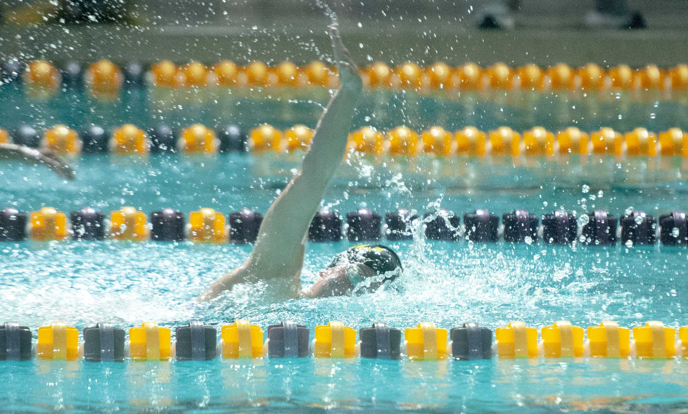 PHOTOS: LSU swim and dive vs. Alabama