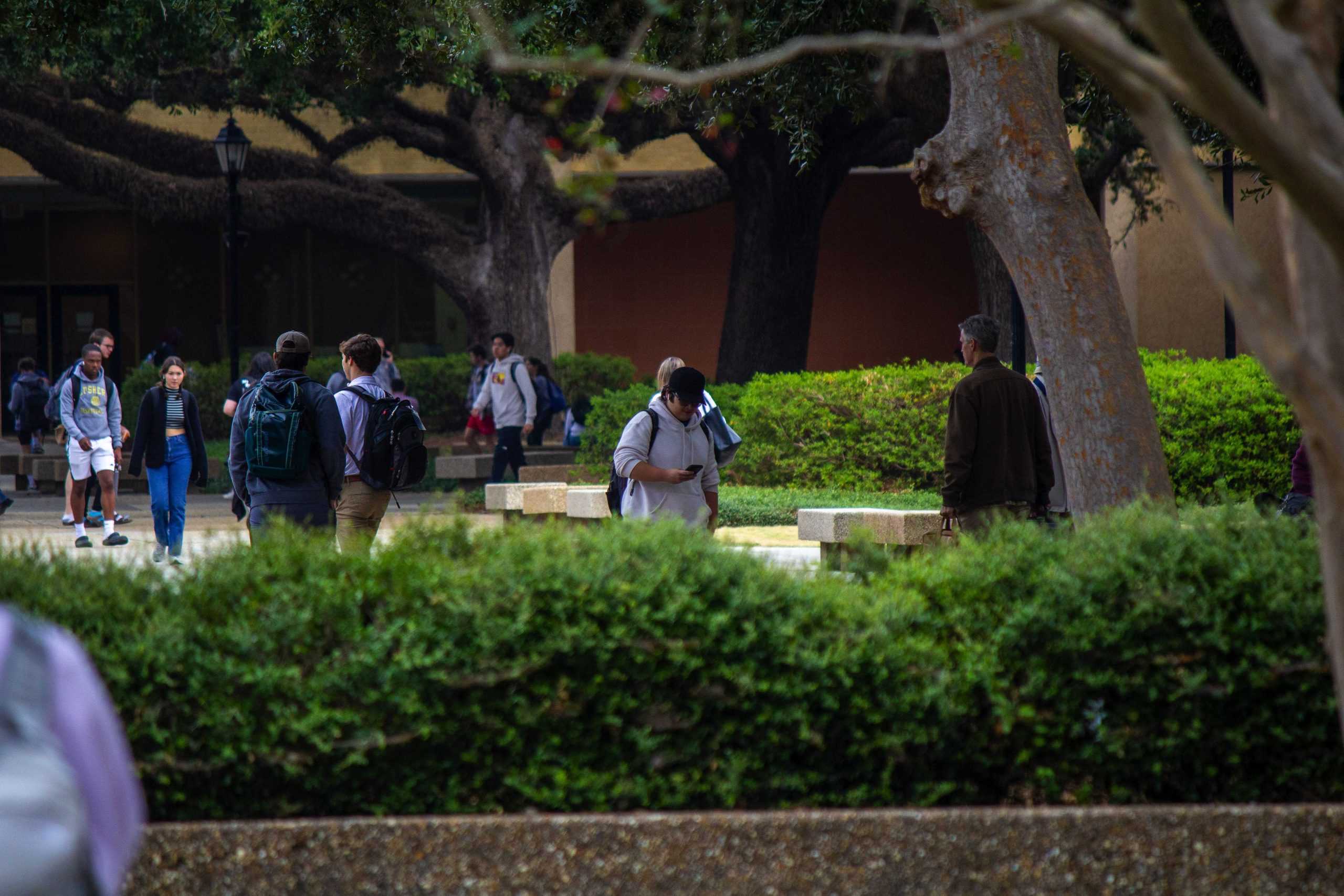 'I really want to combat loneliness': CEO, LSU students discuss new app LINK Social and making friends online