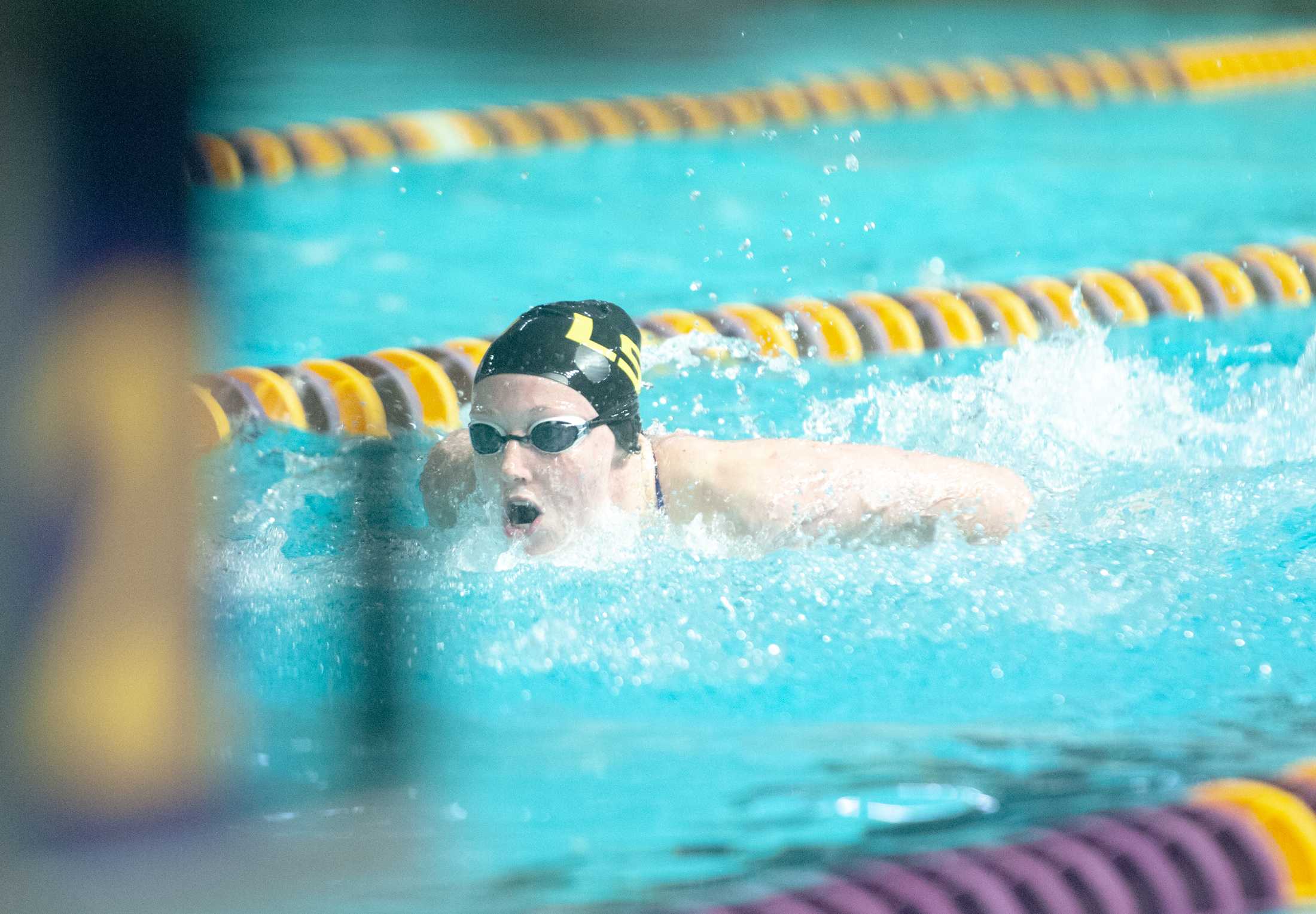 PHOTOS: LSU swim and dive vs. Alabama