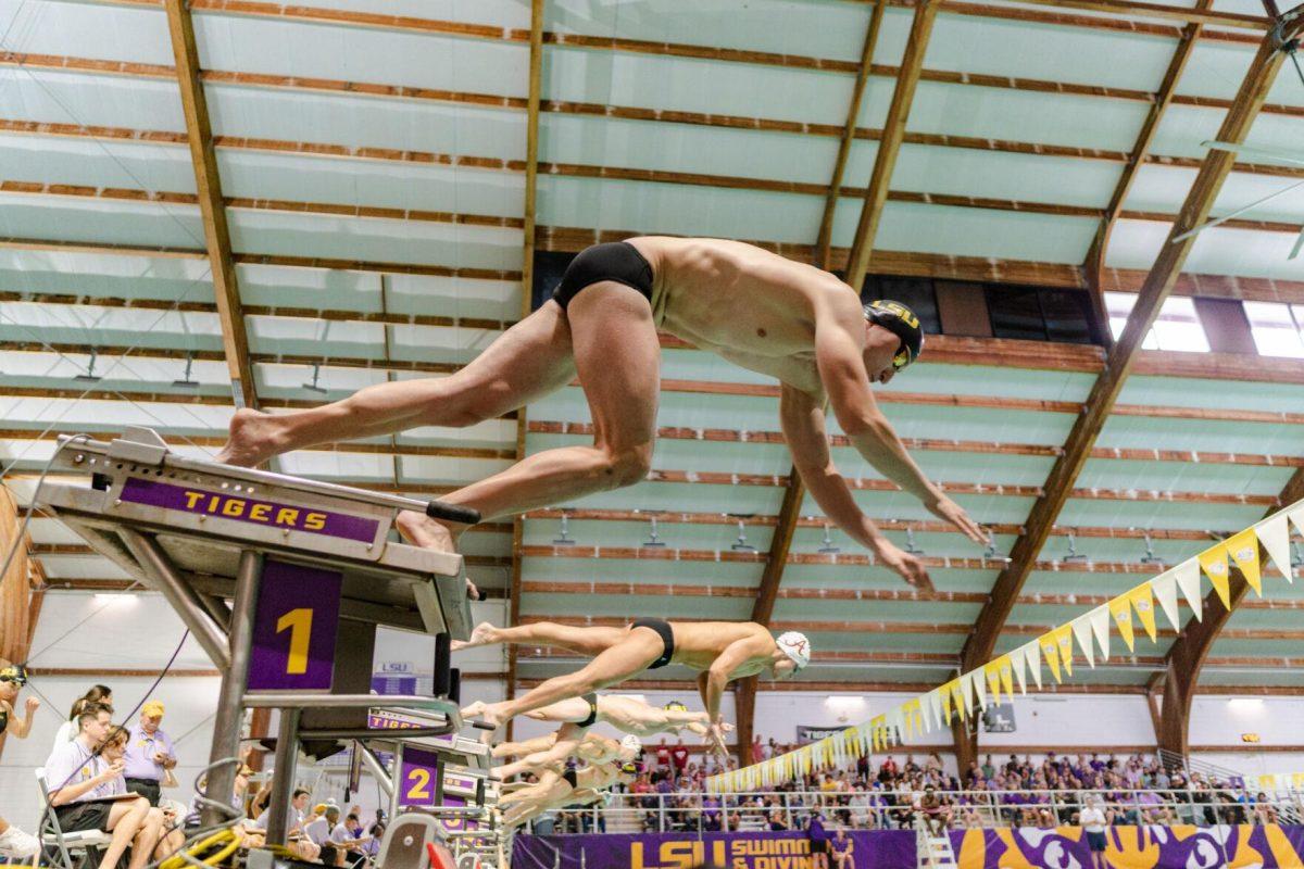 LSU swimming butterfly/freestyle freshman Pawel Uryniuk dives from the start on Friday, Nov. 4, 2022, during the LSU men&#8217;s 139-155 loss to Alabama at the LSU natatorium in Baton Rouge, La.