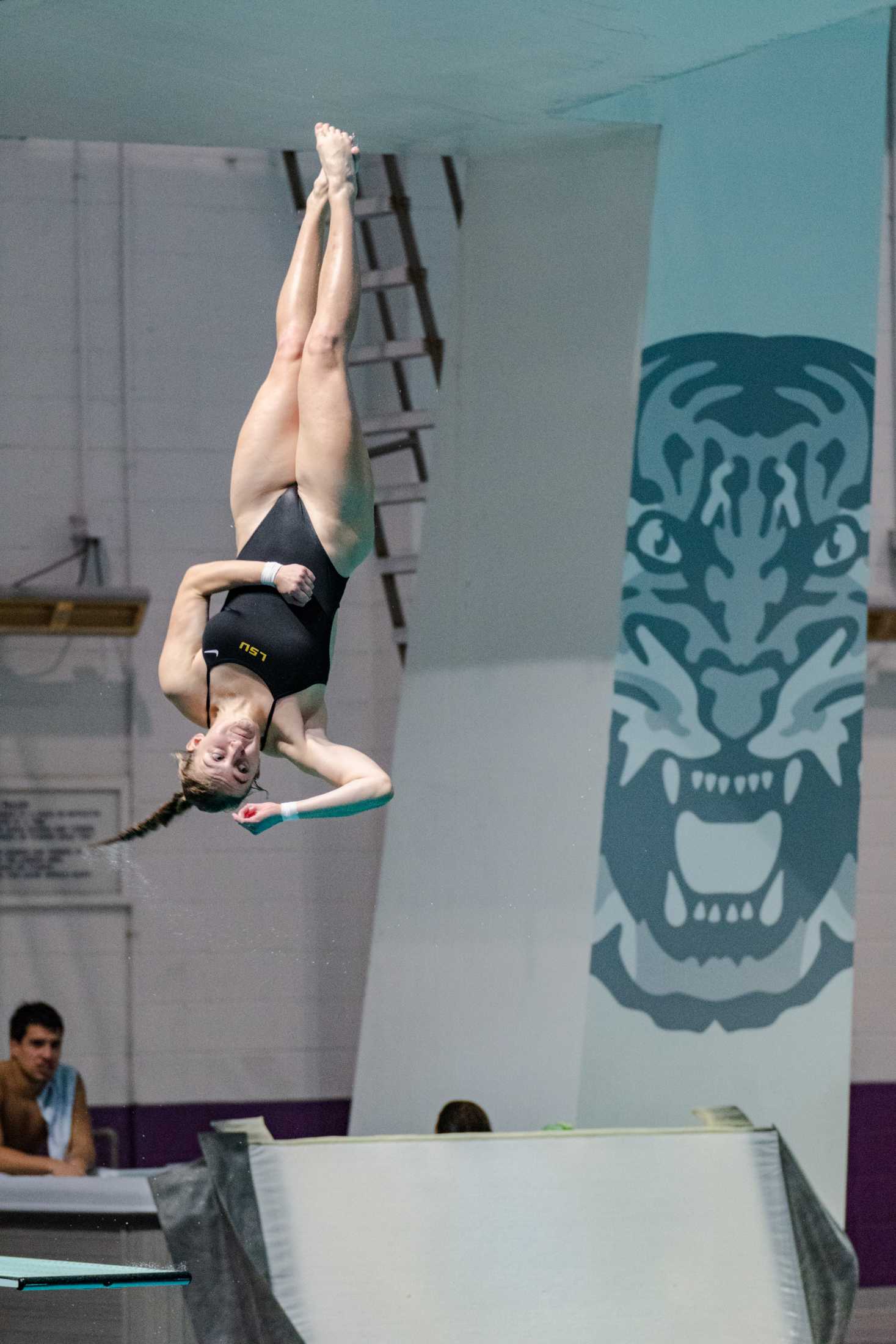 PHOTOS: LSU swim and dive vs. Alabama