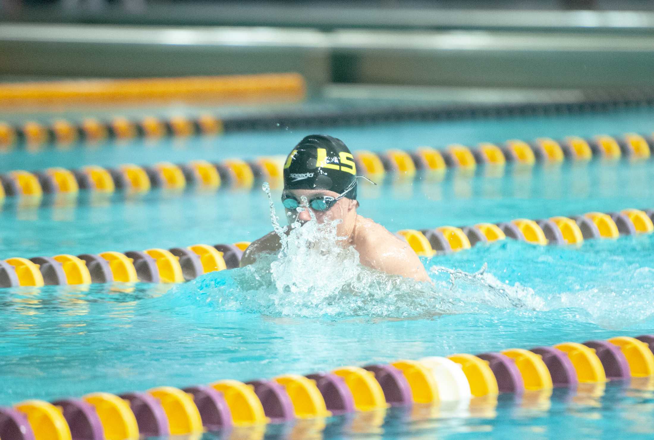 PHOTOS: LSU swim and dive vs. Alabama