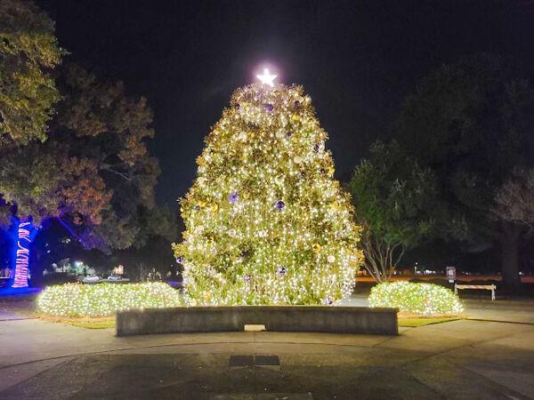 Lights shine brightly on Friday, Dec. 2, 2022, on the LSU tree in front of the Student Union in Baton Rouge, La.