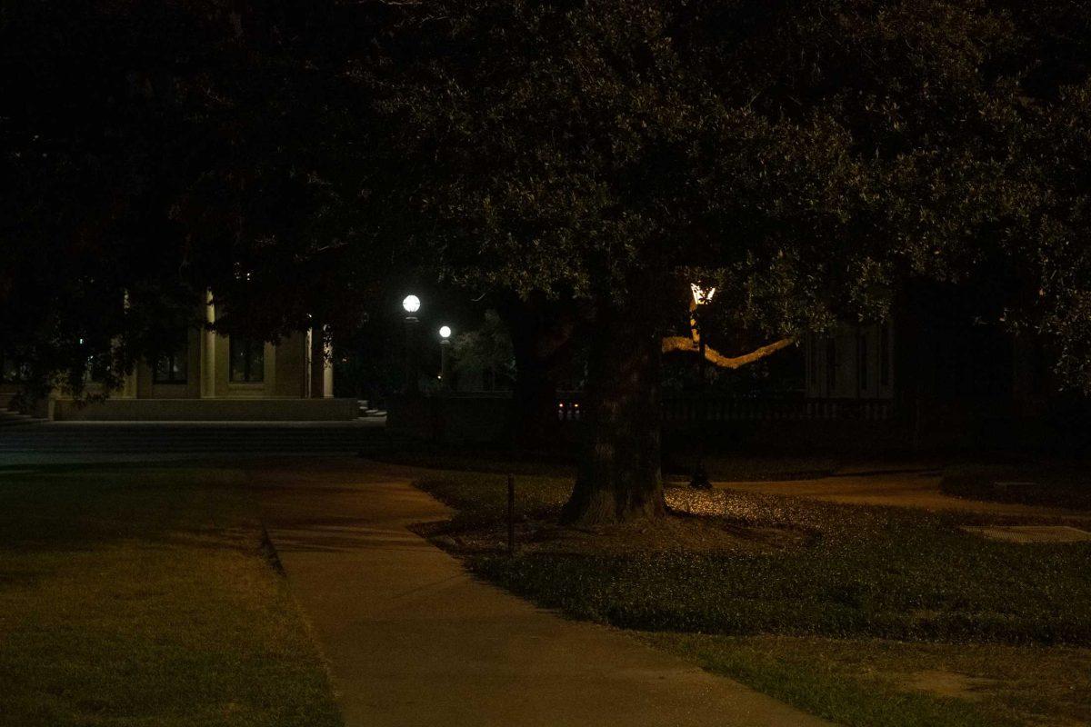 <p>The tree sits in the darkness on Wednesday, Oct. 5, 2022, behind Memorial Tower on Tower Drive in Baton Rouge, La.</p>