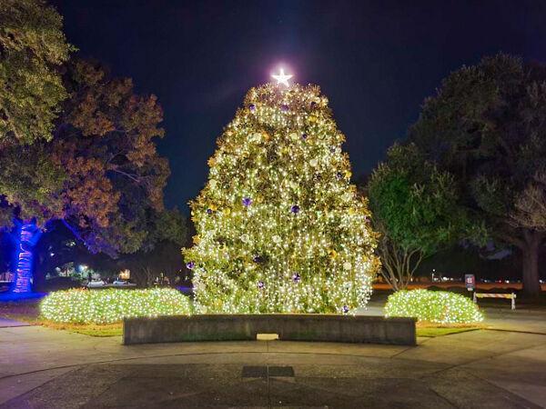 Lights shine brightly on Friday, Dec. 2, 2022, on the LSU tree in front of the Student Union in Baton Rouge, La.